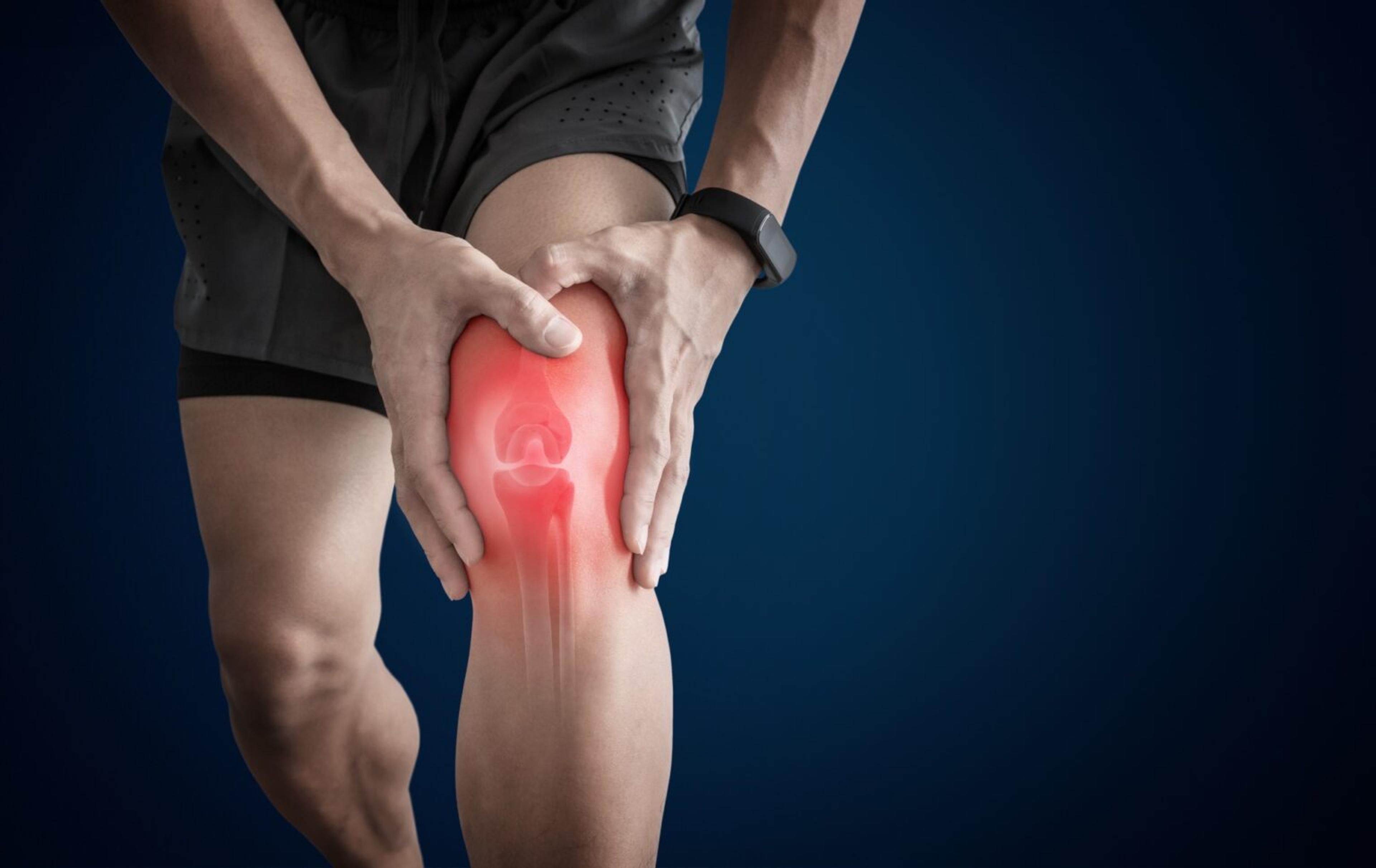 a5141653-9a99-47d5-a000-1c4ae5aa0472.jpeg