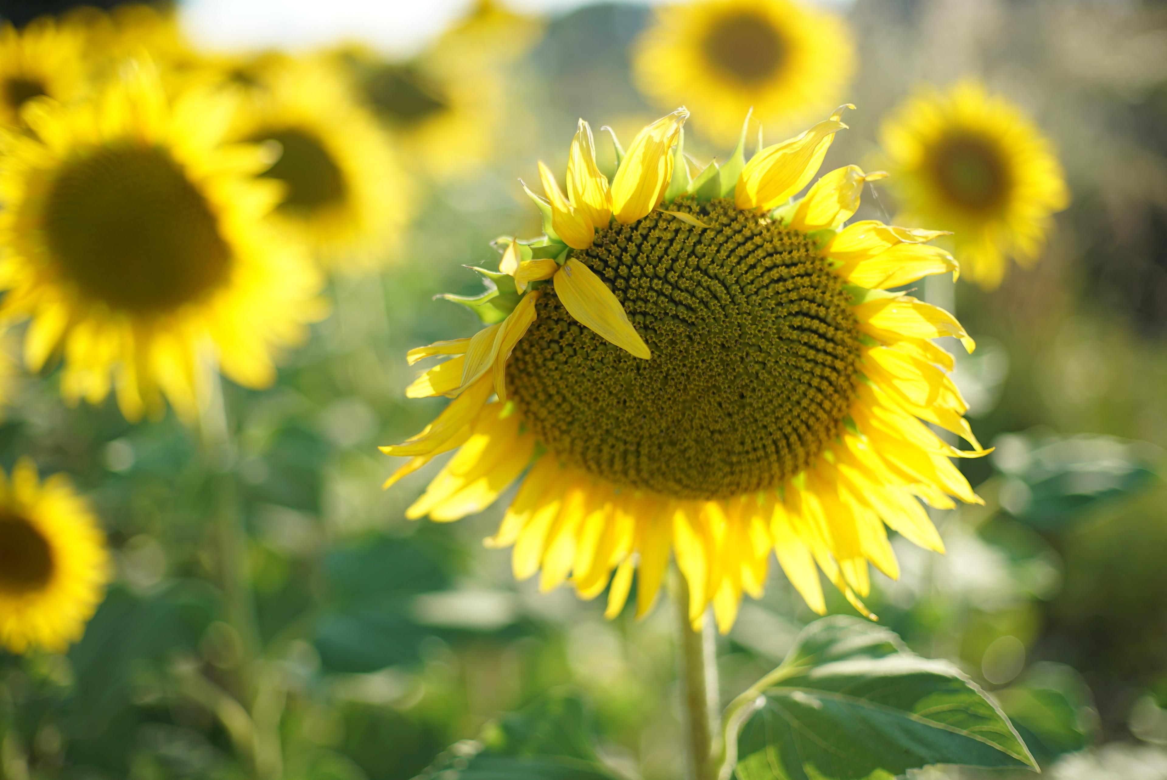 a67720c0-d889-4be2-828b-1963bffa9014.jpeg
