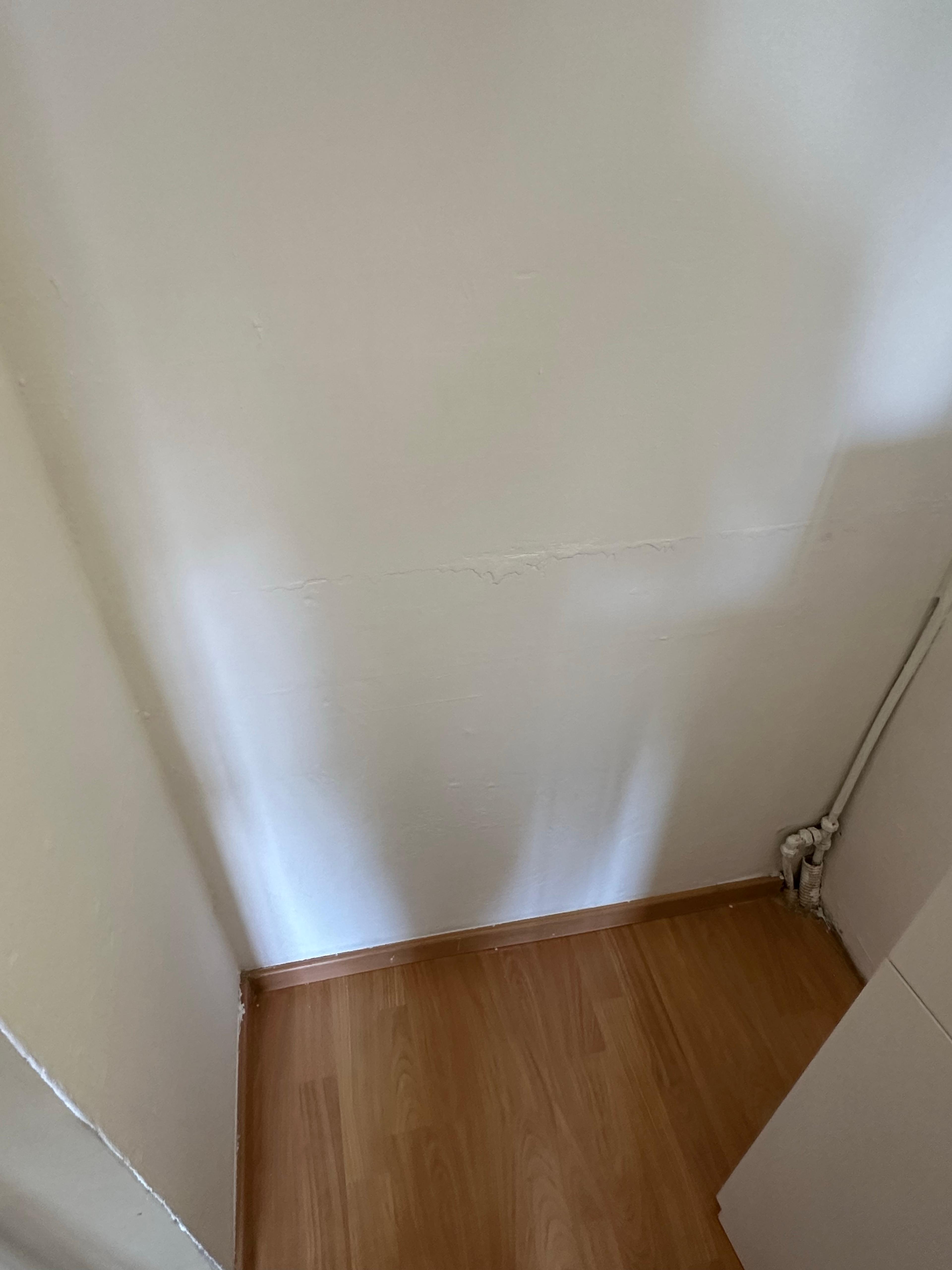 a6aece65-4097-4ff6-bcfc-6b734a1edcea.jpeg