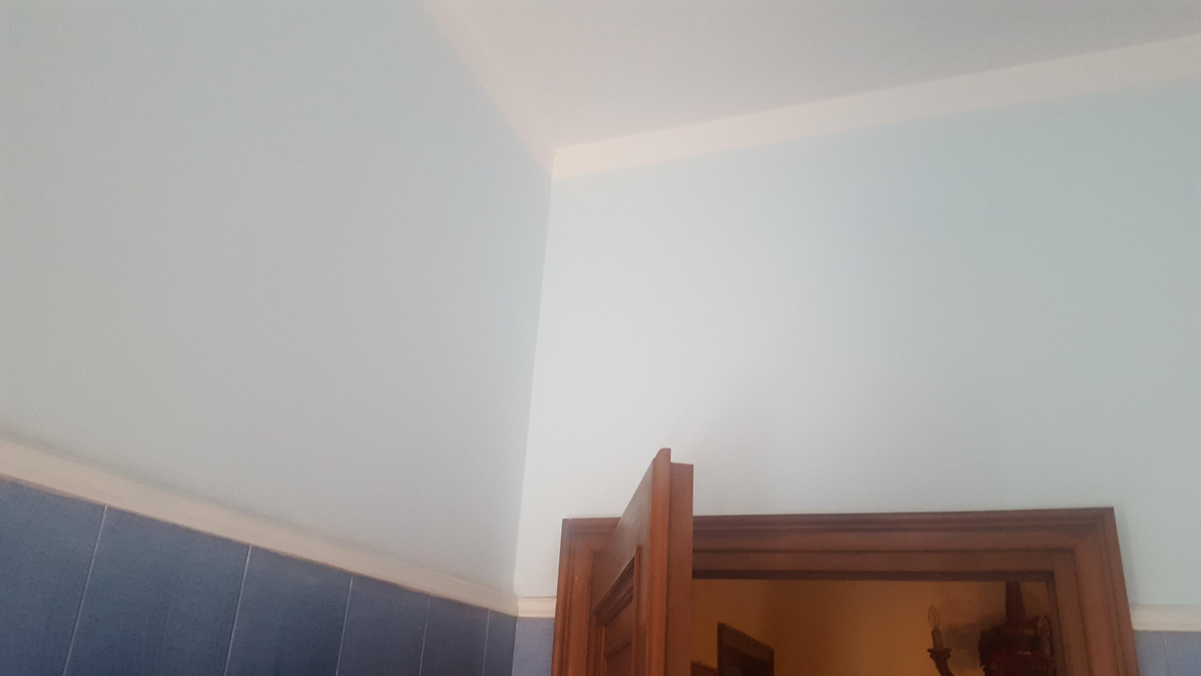 a72b9133-42b9-4b94-948c-57f6c744a686.jpeg
