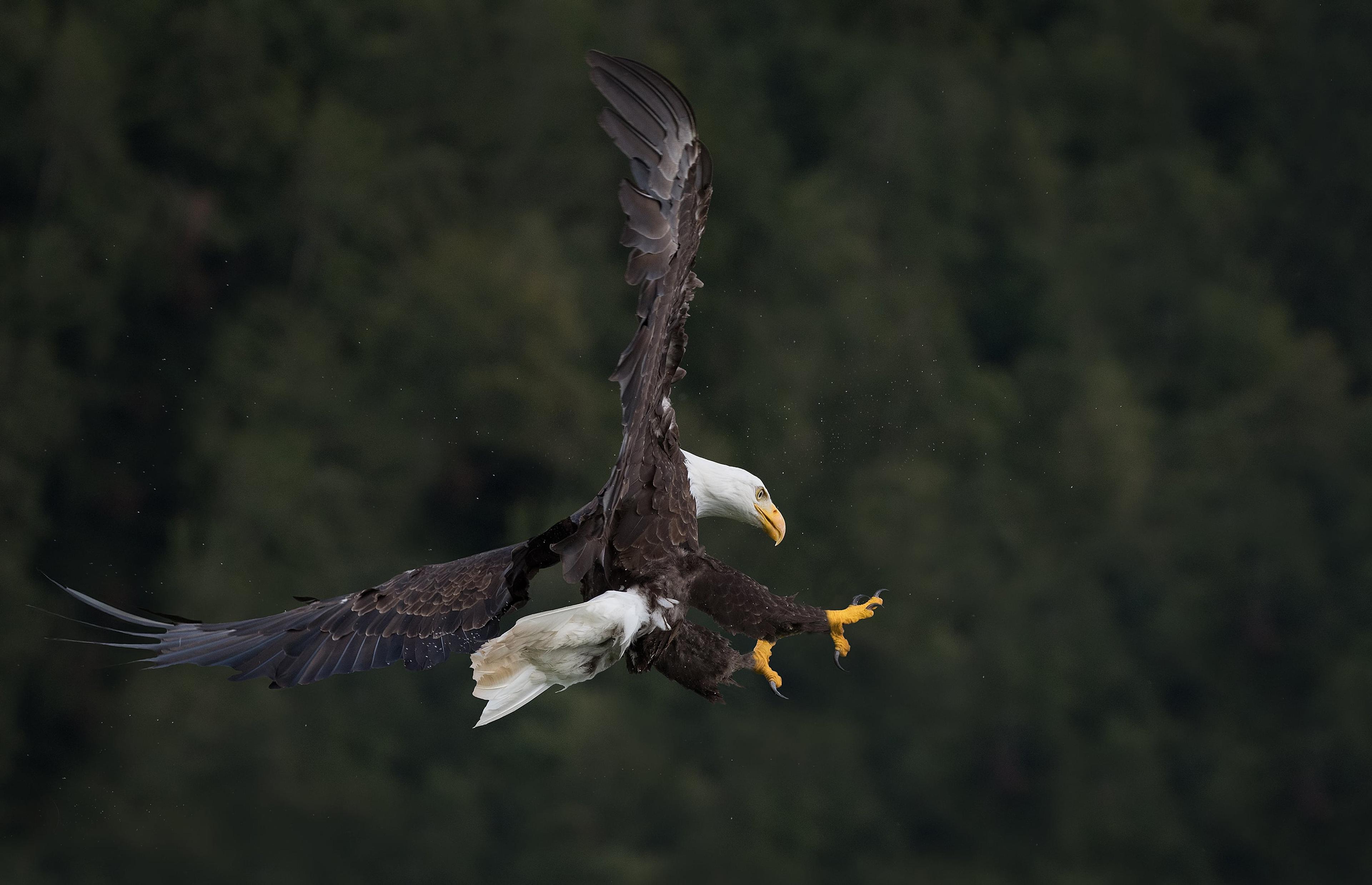 a742cb46-6f91-4f7f-b514-080934fd3fb4.jpeg