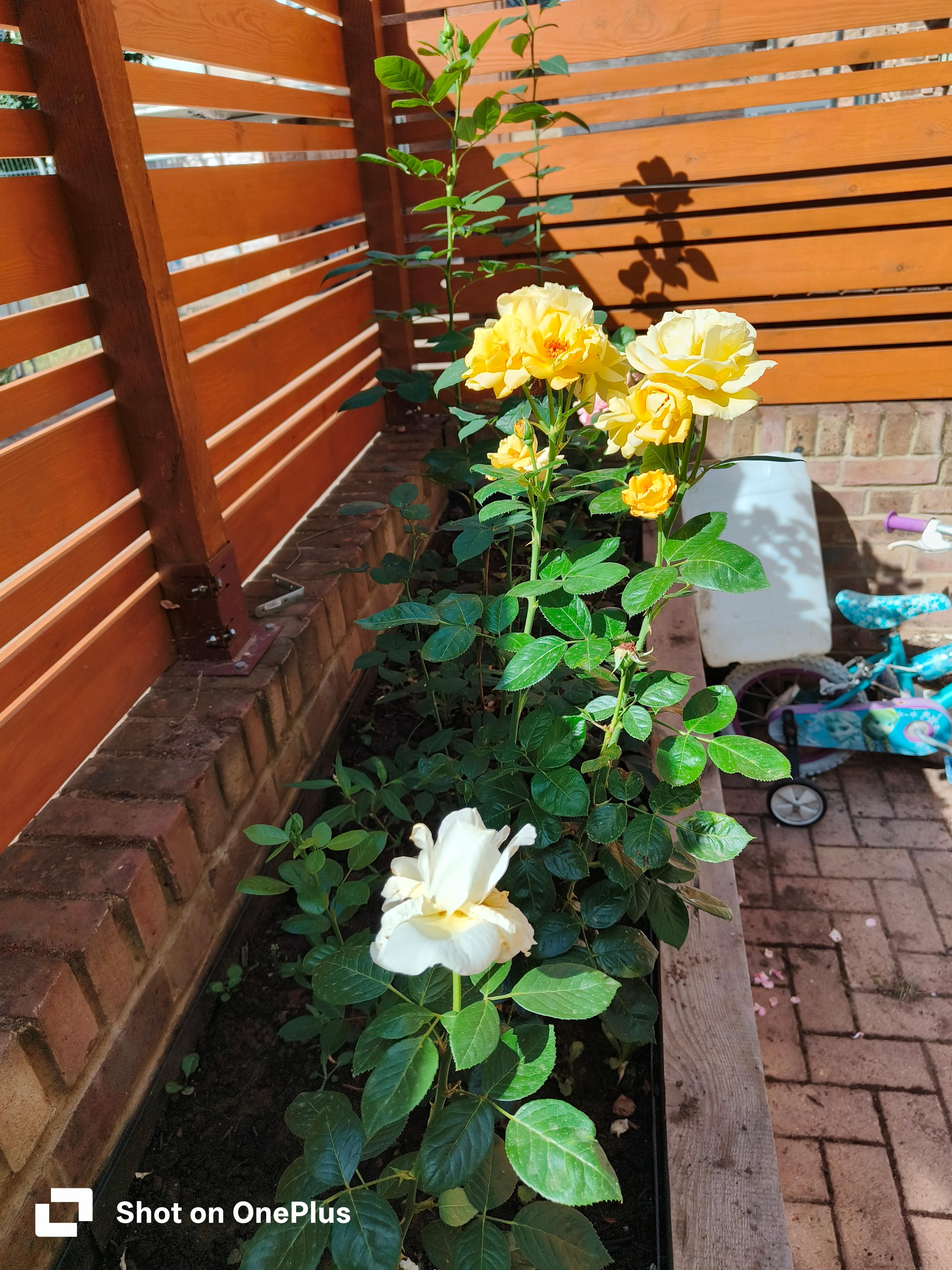 a779cab5-30cb-4899-8d0c-06a2ae876e40.jpeg
