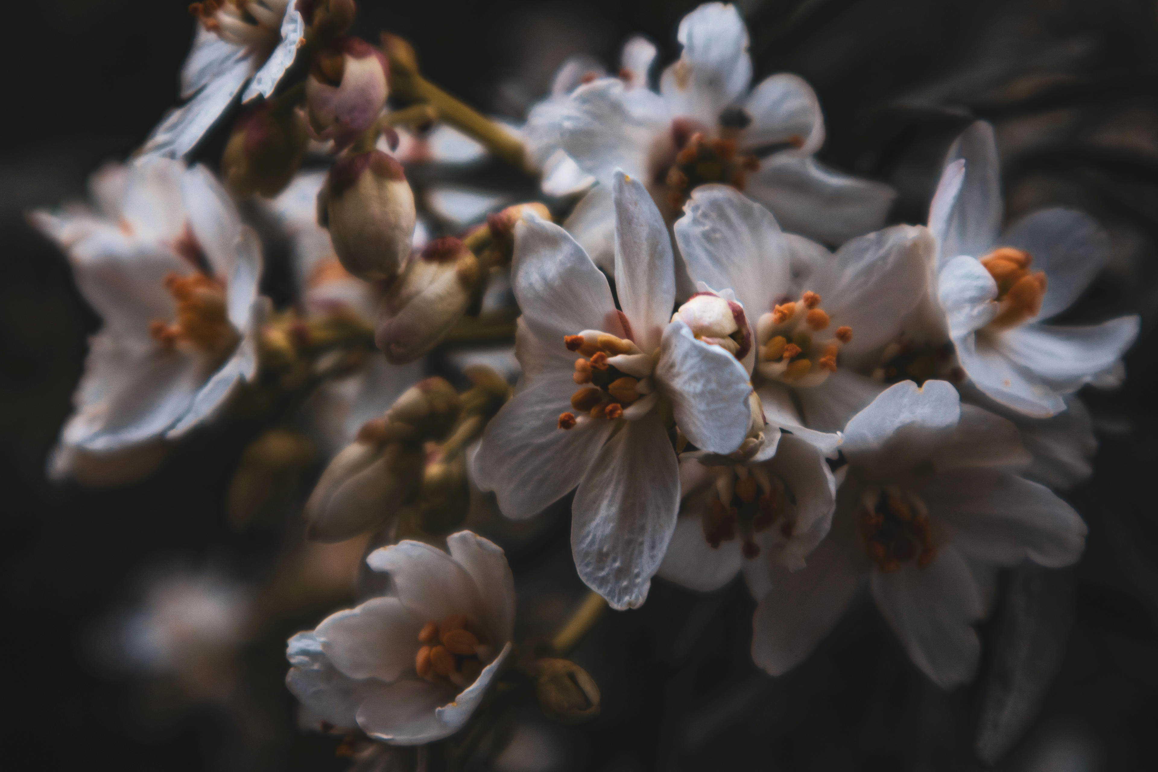 a7d90510-ae24-4075-9d47-e81e01aa5194.jpeg