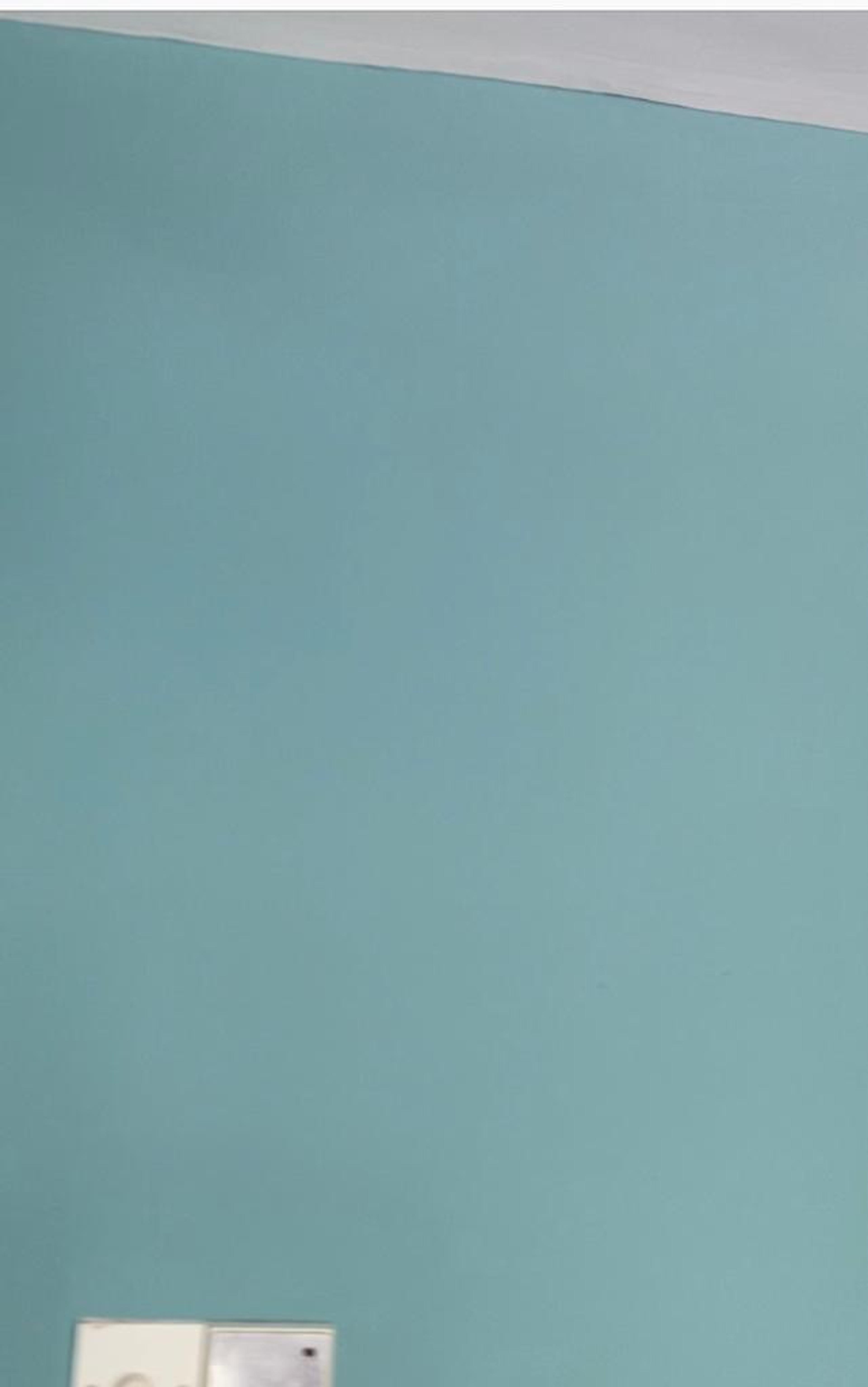 a89e9a35-b61c-4bb9-9a9c-0373ebfd388e.jpeg