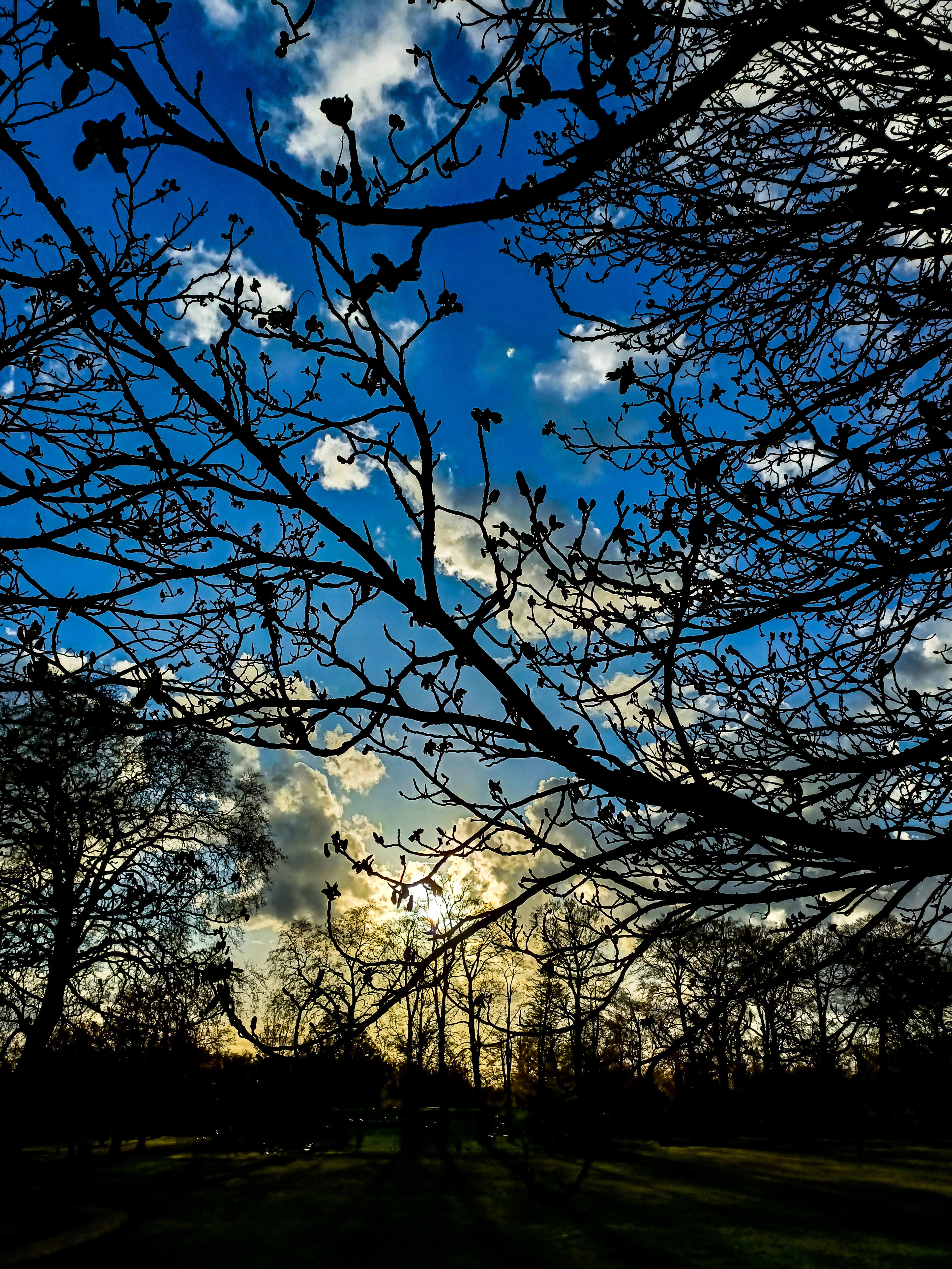 a8b6f593-06f1-465f-bc65-5db095dc2eb3.jpeg