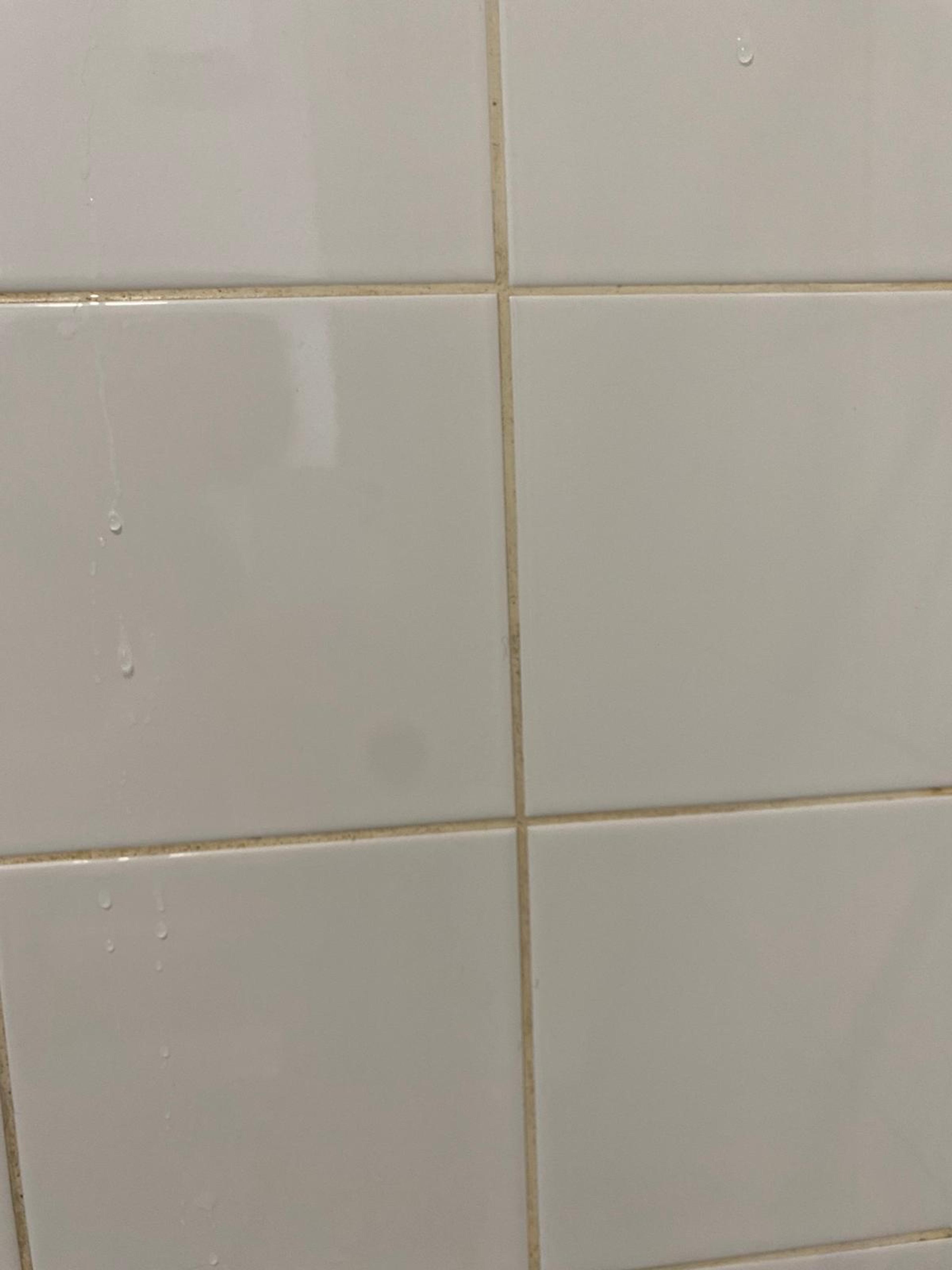 a948e439-2adc-4937-9de3-63472d50528a.jpeg