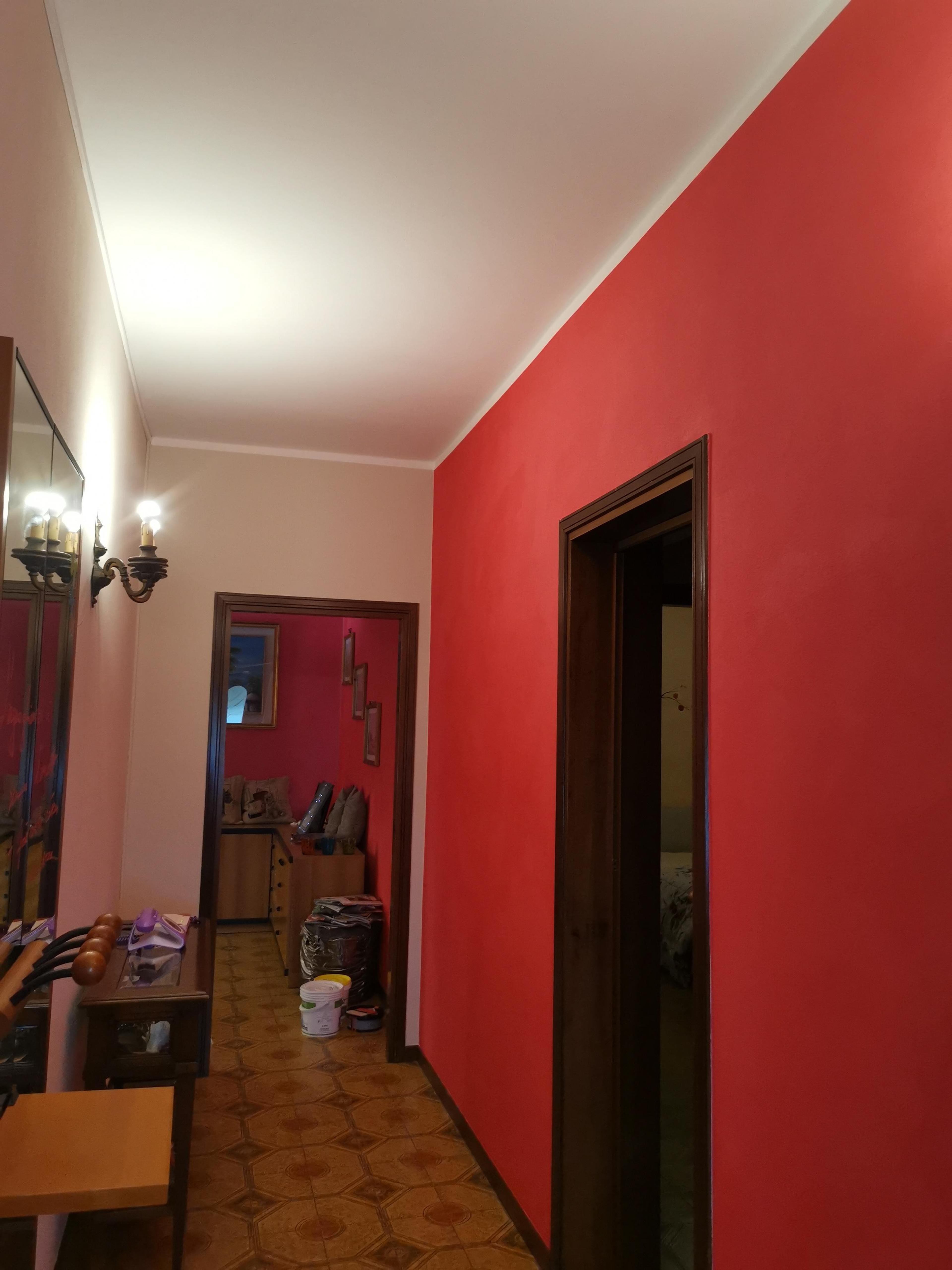a9d10483-8479-4e43-8551-a0cf3fb2032a.jpeg