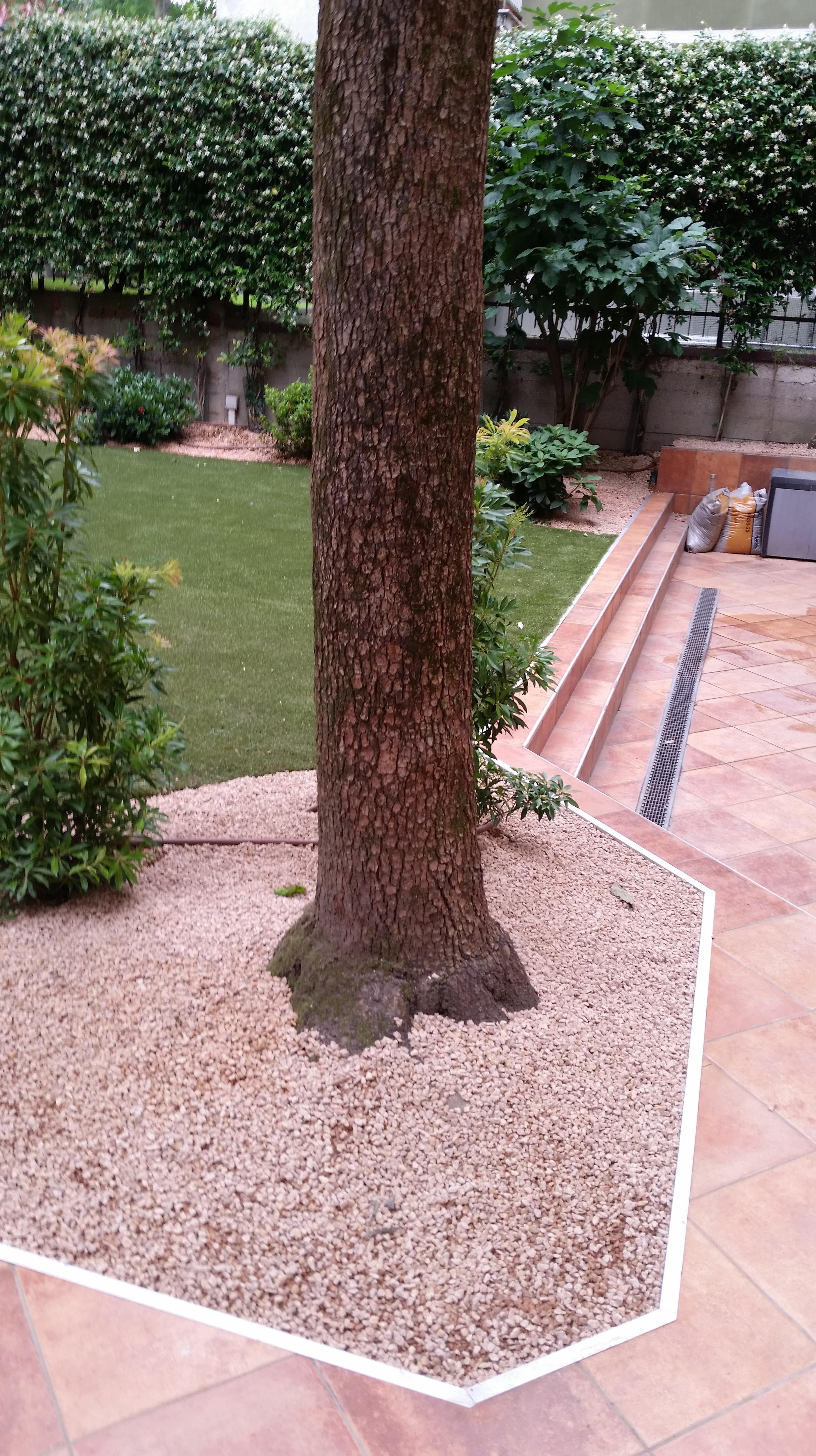 aa2de6c9-a480-4ce0-93ac-5513530cb490.jpg