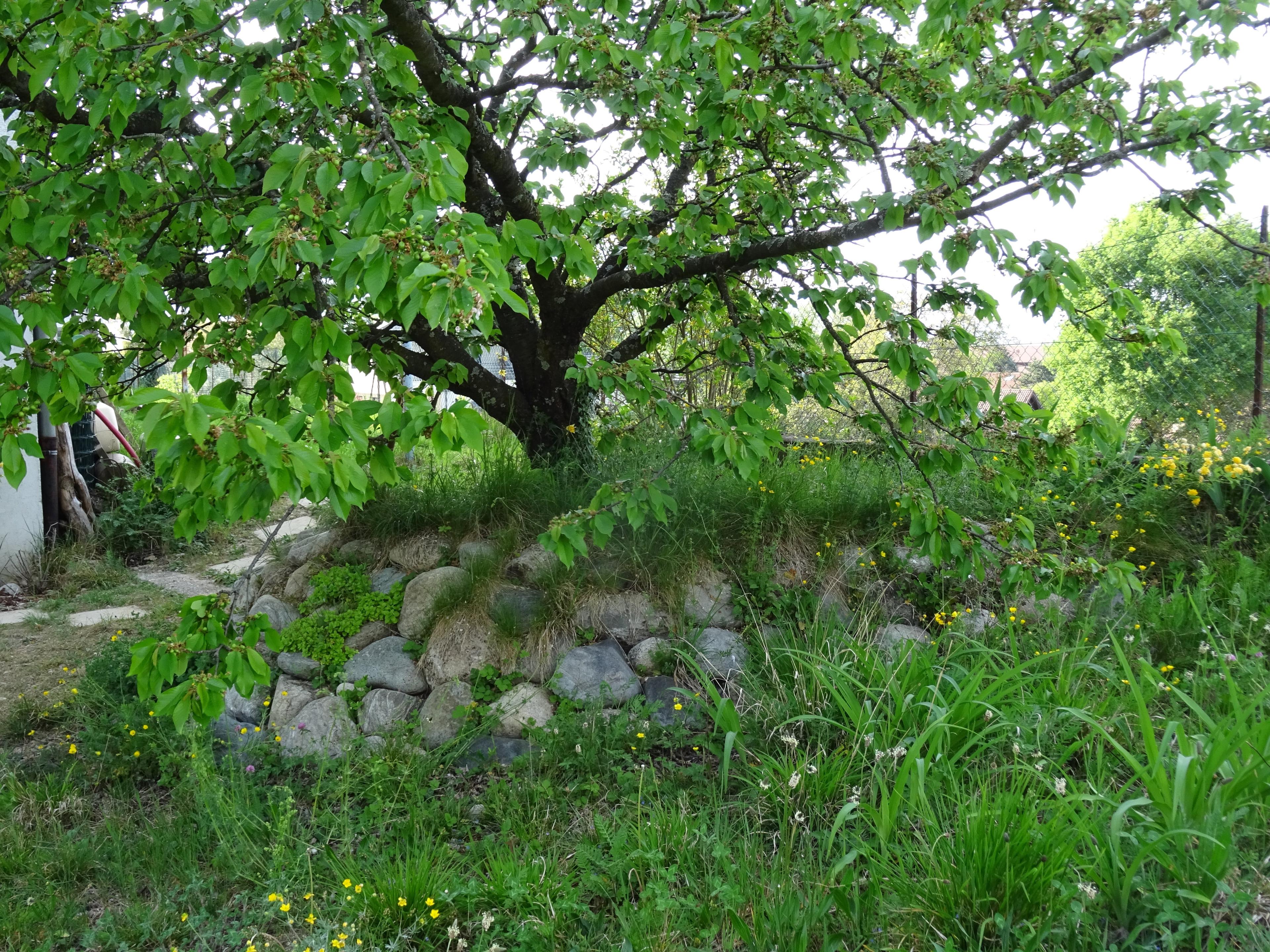 aa7747ed-5d9c-4a67-b777-a113570c1d88.jpeg