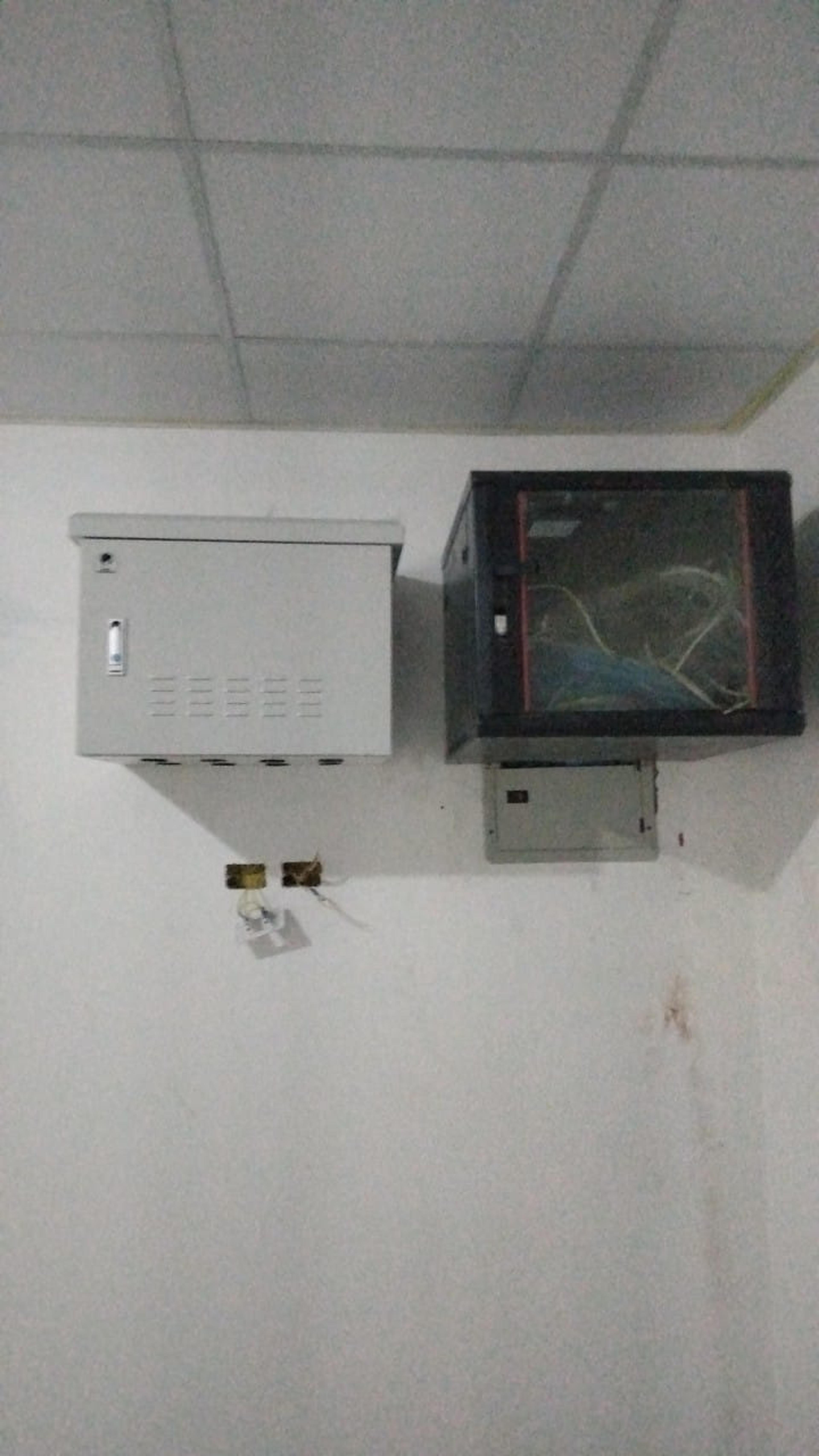 aac31ff0-ce21-4e19-a055-dee455dd6d6d.jpeg