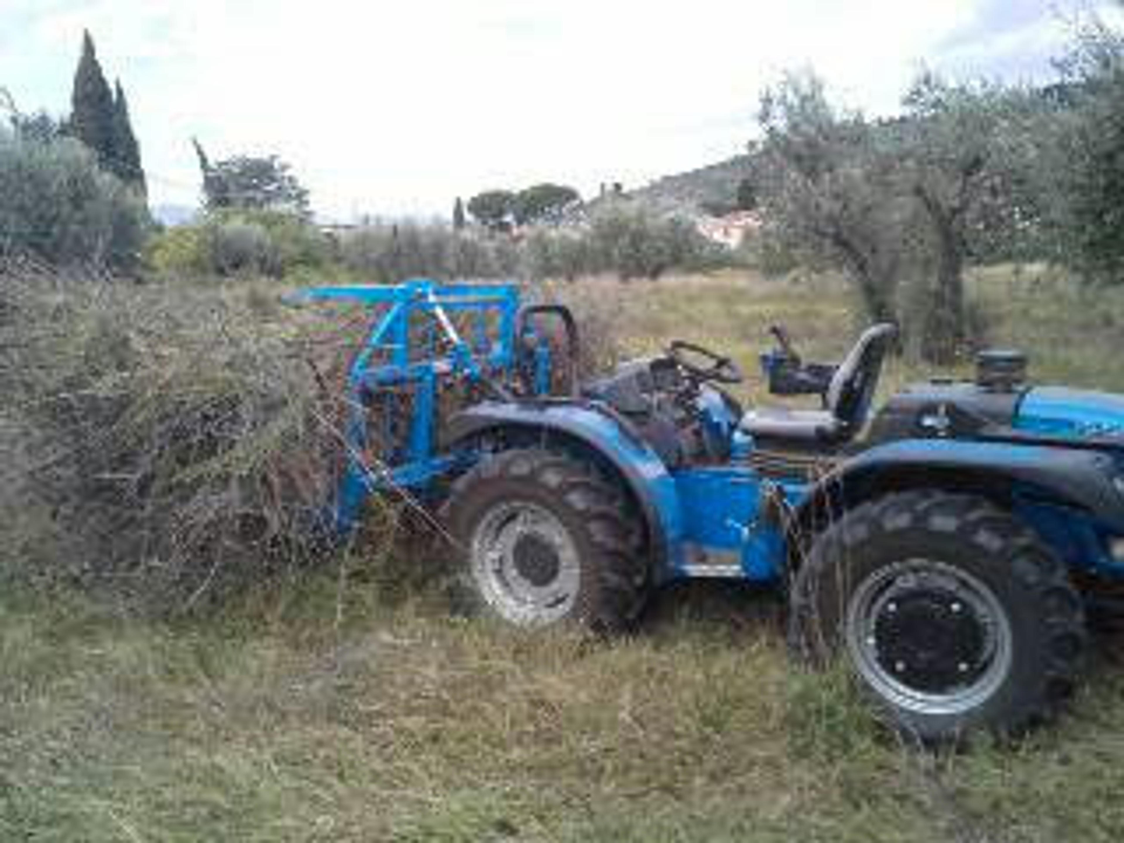 aac7d72c-c3b7-4563-82a6-0e5947165605.jpeg