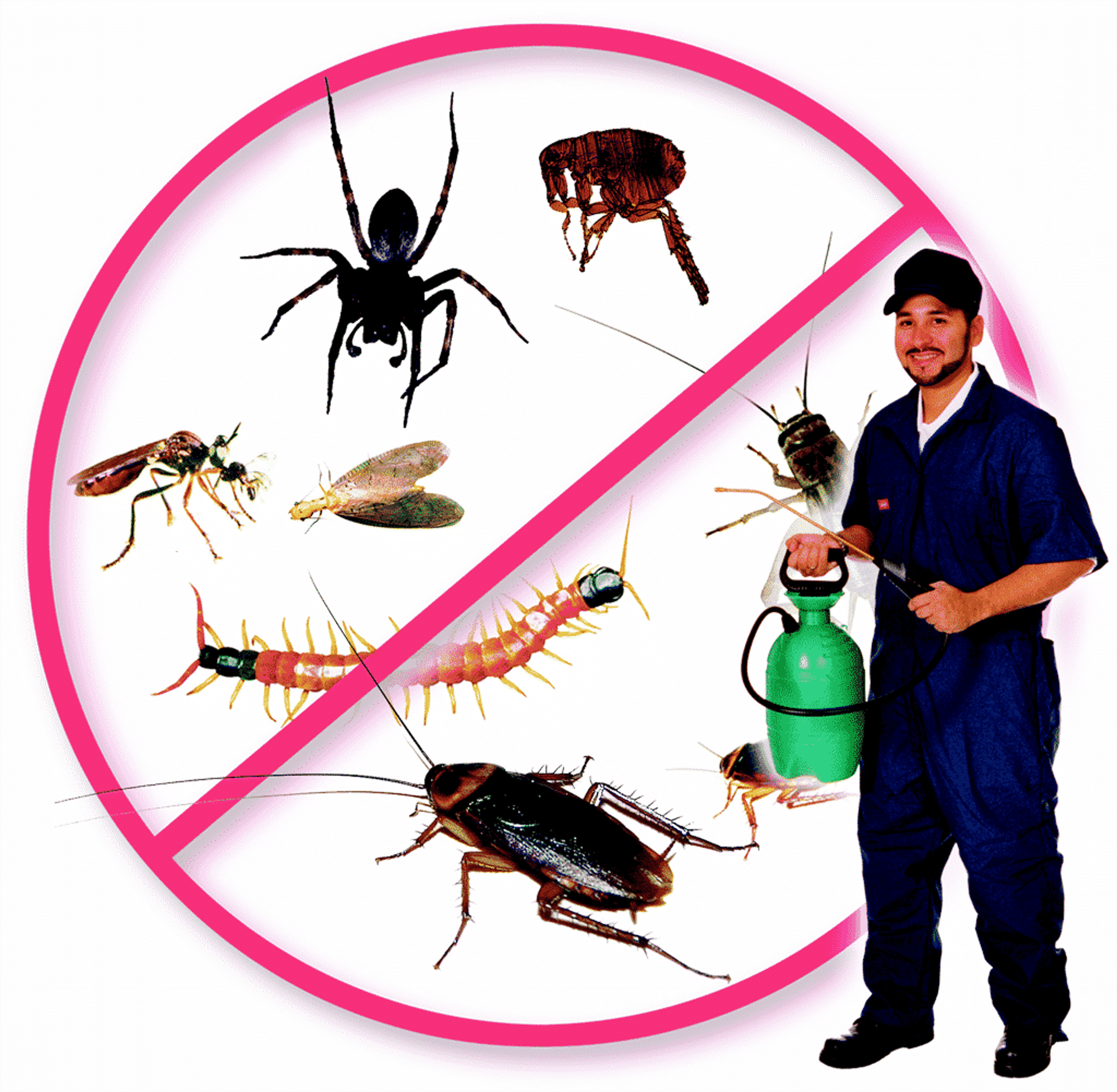aac99aab-5e86-4c4f-b89c-532a8d3552ac.png