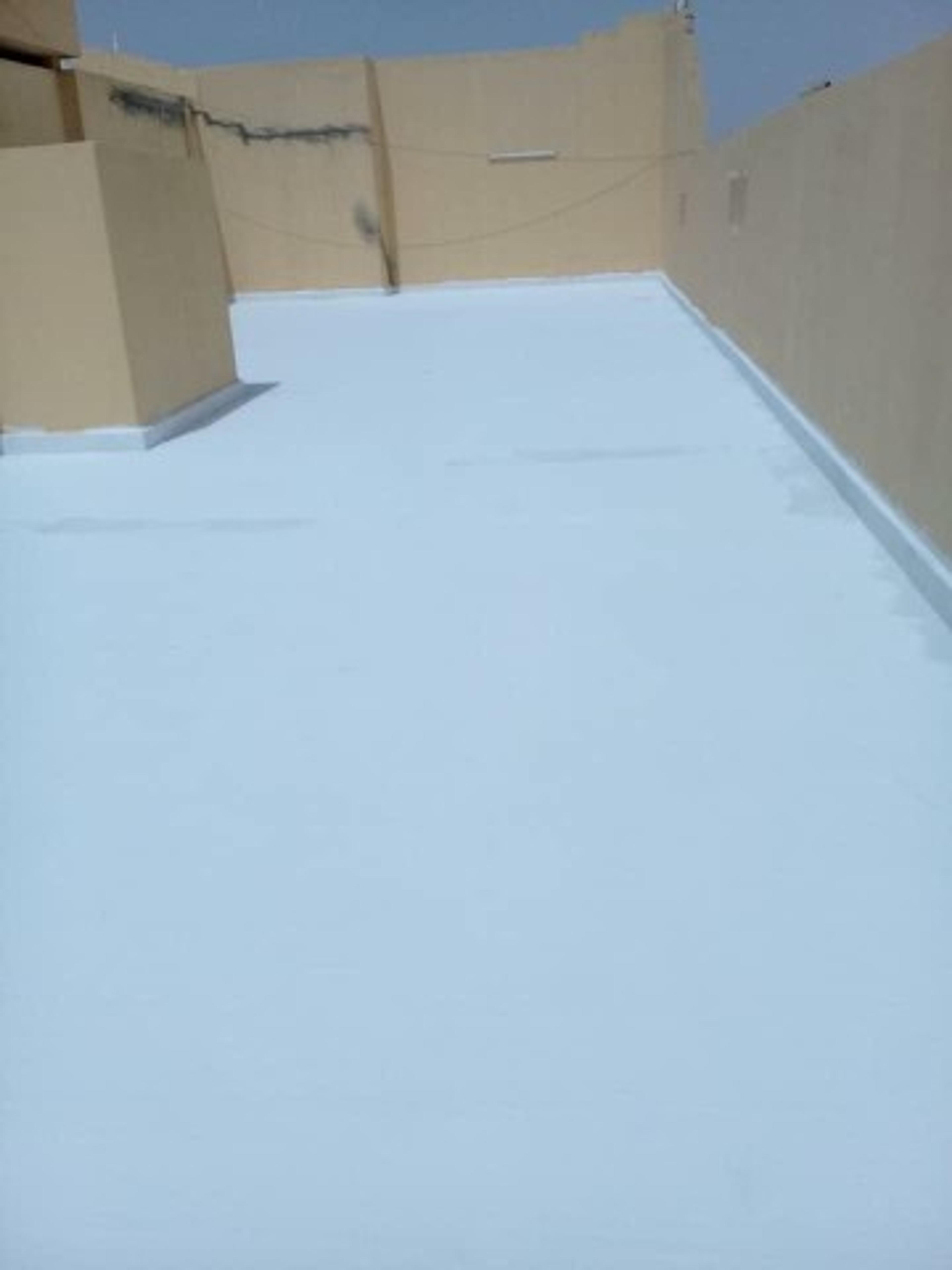 aaf43432-5820-49c4-96ce-8359a47496bd.jpeg