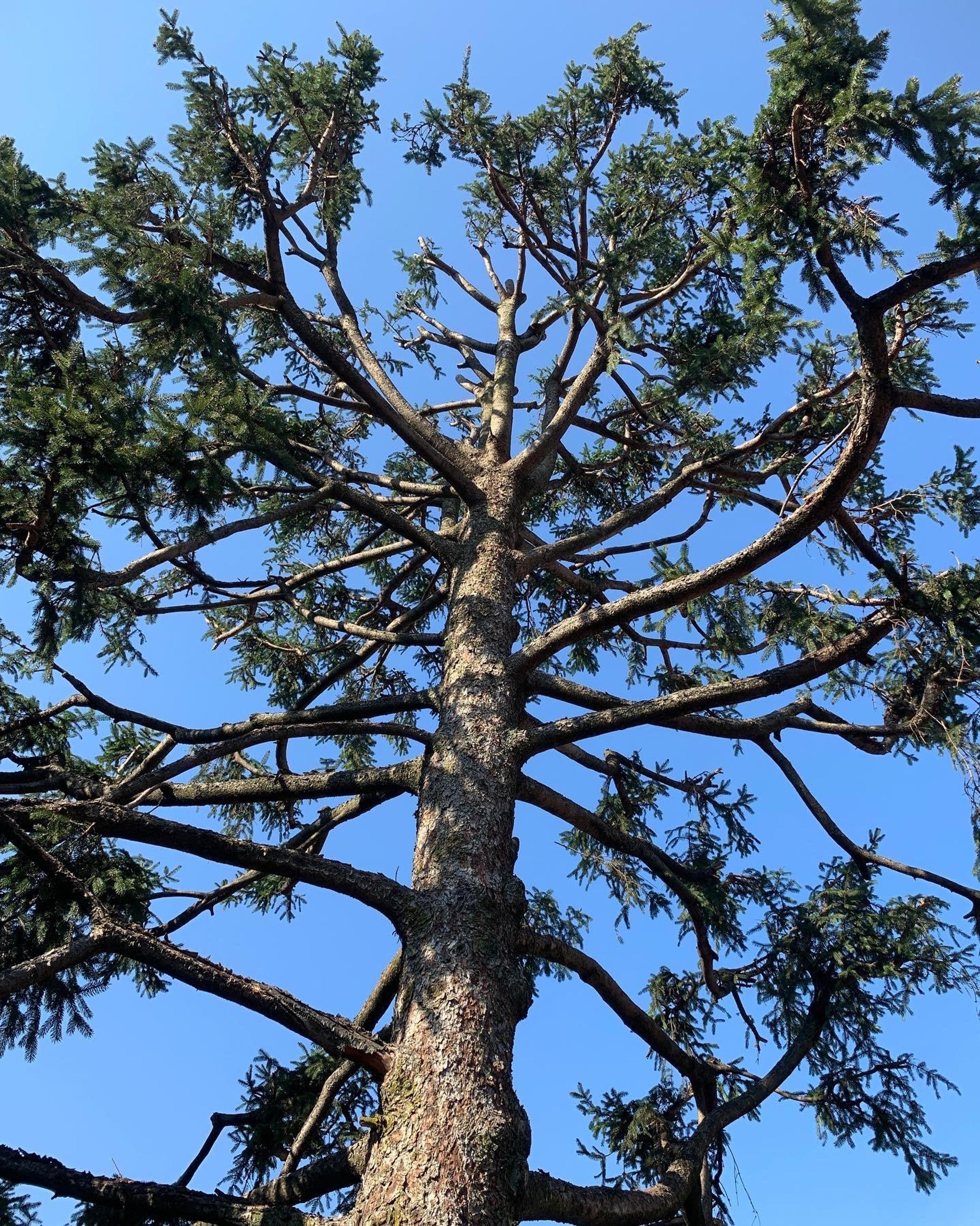 ab0343ea-3631-40e2-942b-68c062250ce1.jpeg