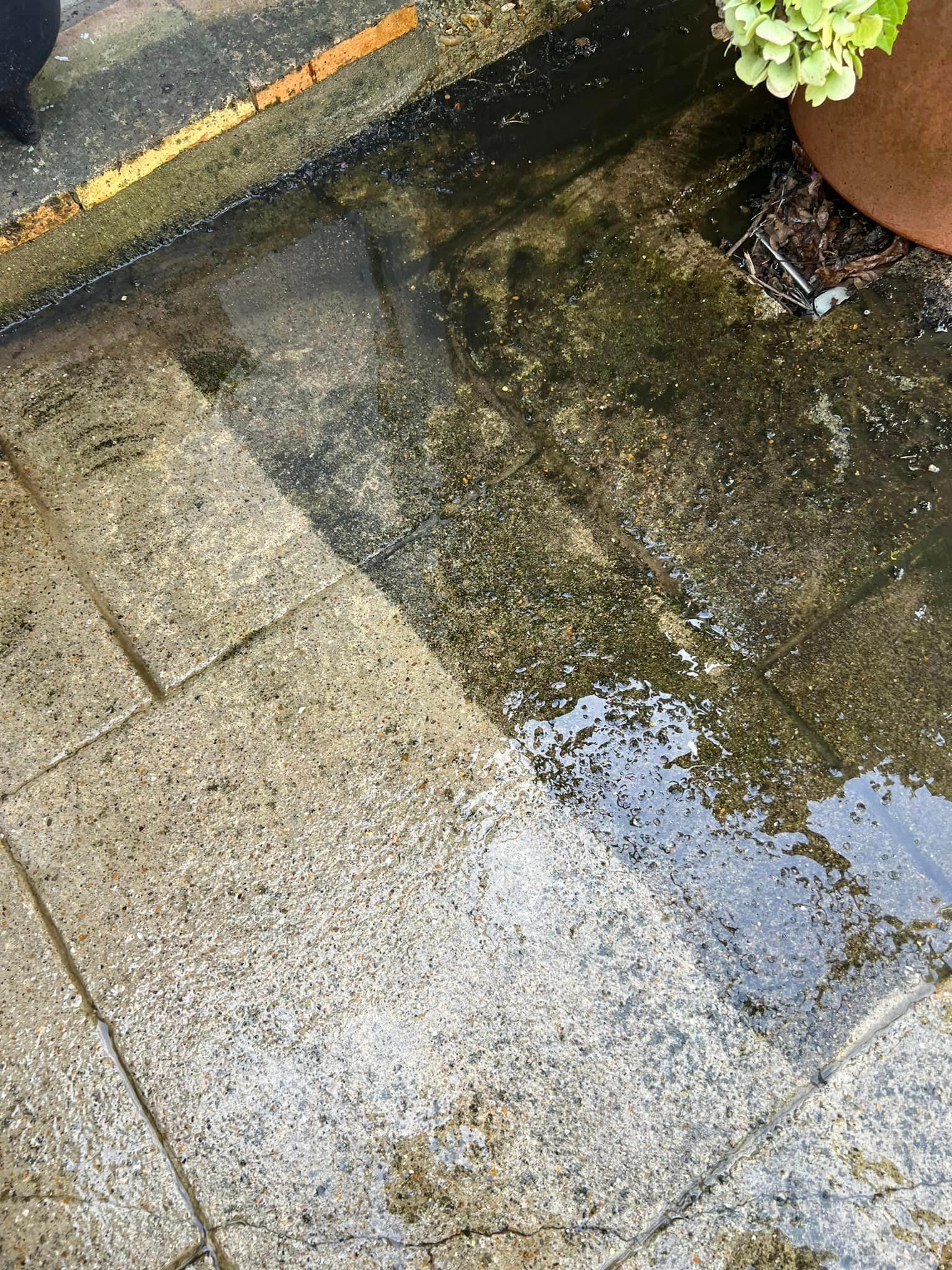 ab41845a-a15d-4c29-9a4a-283752ebd2e5.jpeg
