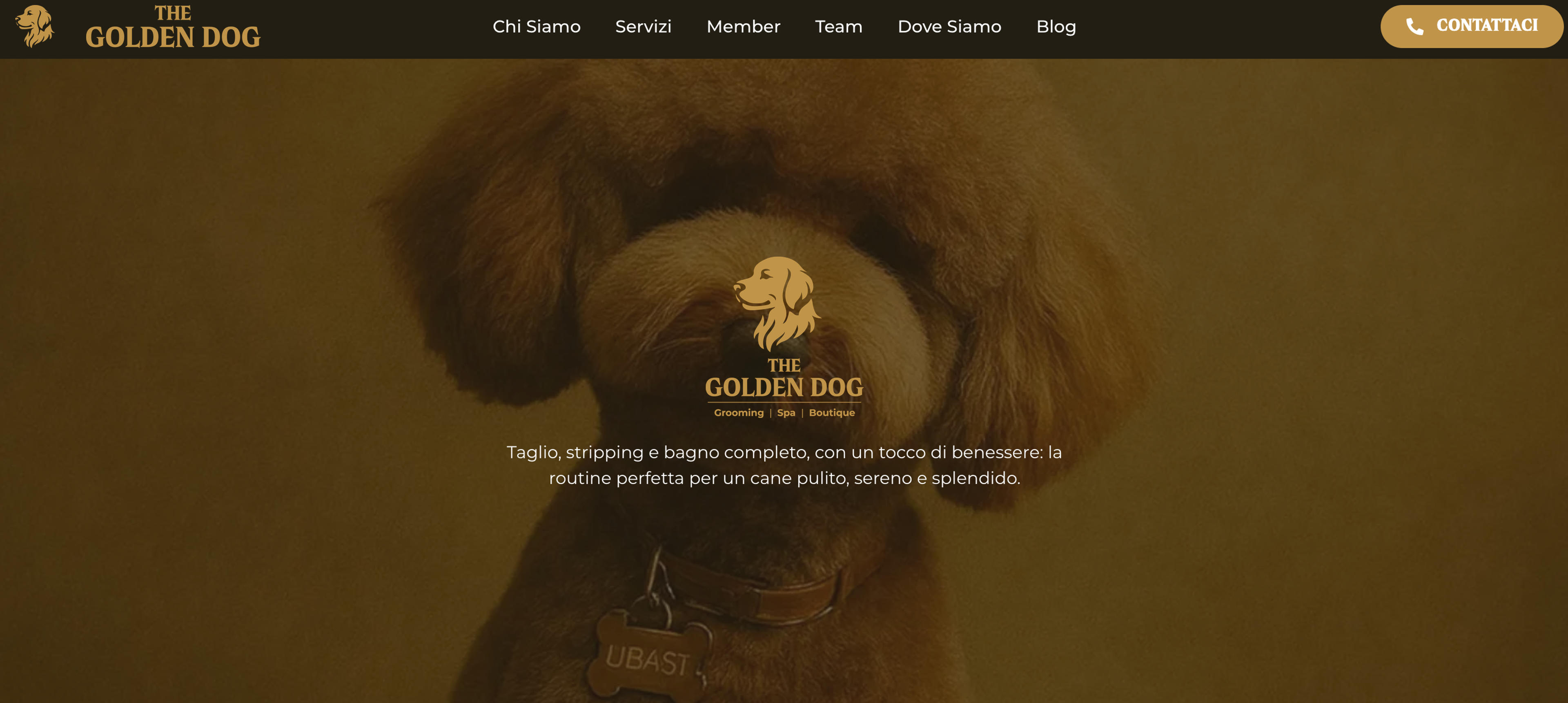 ab460e55-c1a5-4d99-a836-1c4ac5ba326a.png