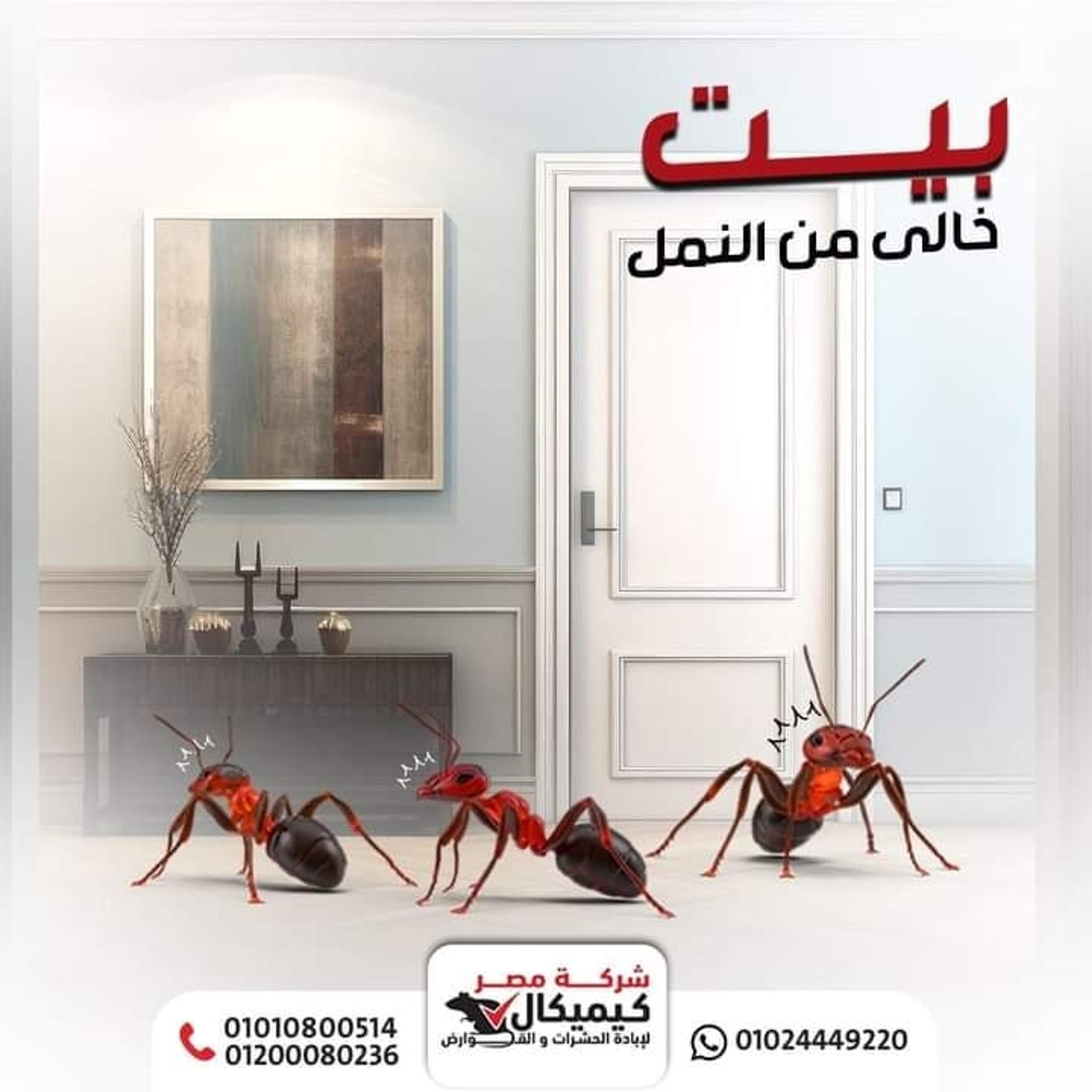ab89ee98-abf5-4a65-b8bc-0b800ecbbbfd.jpeg