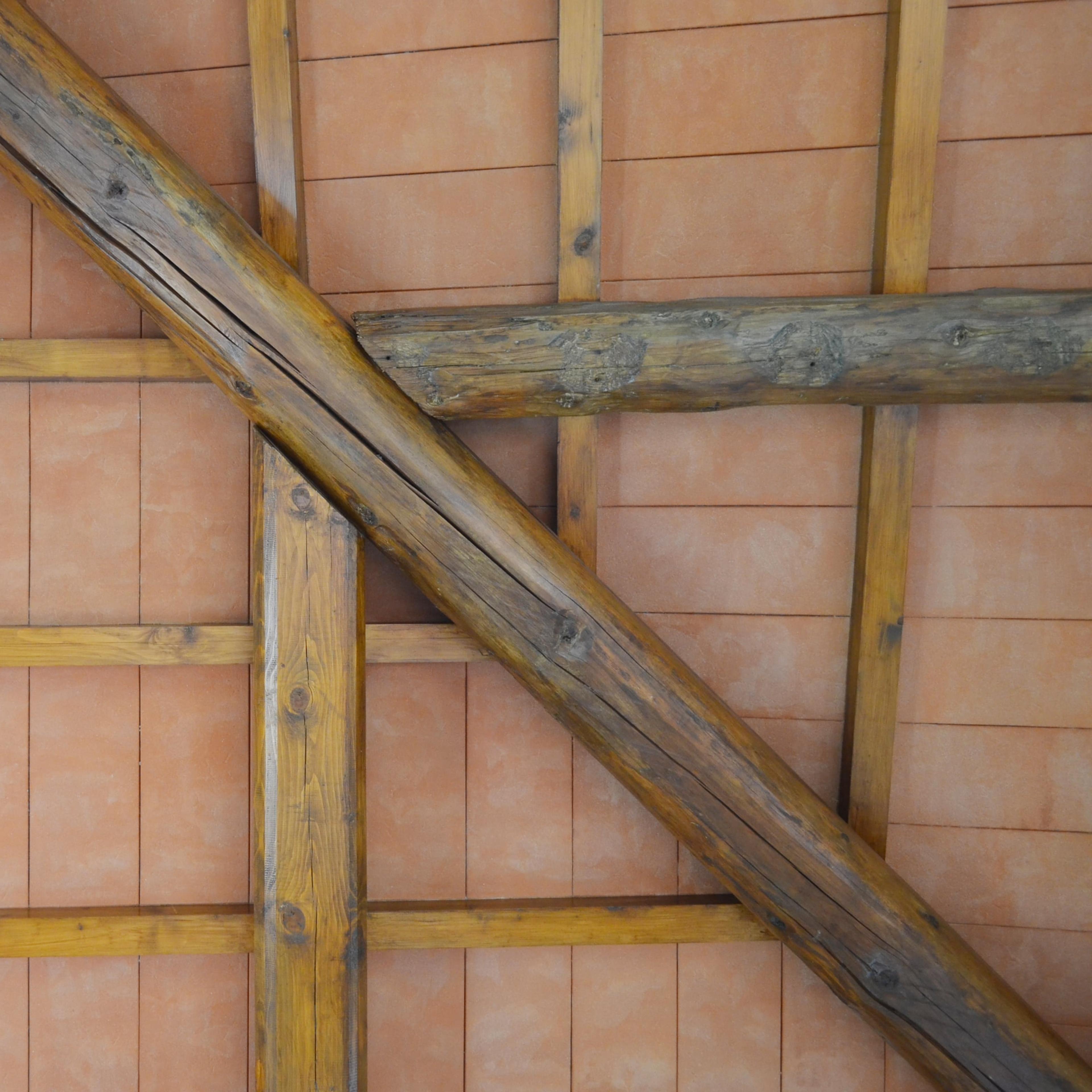 abf0e0ae-e182-4b89-8658-daf33d7fc707.jpeg