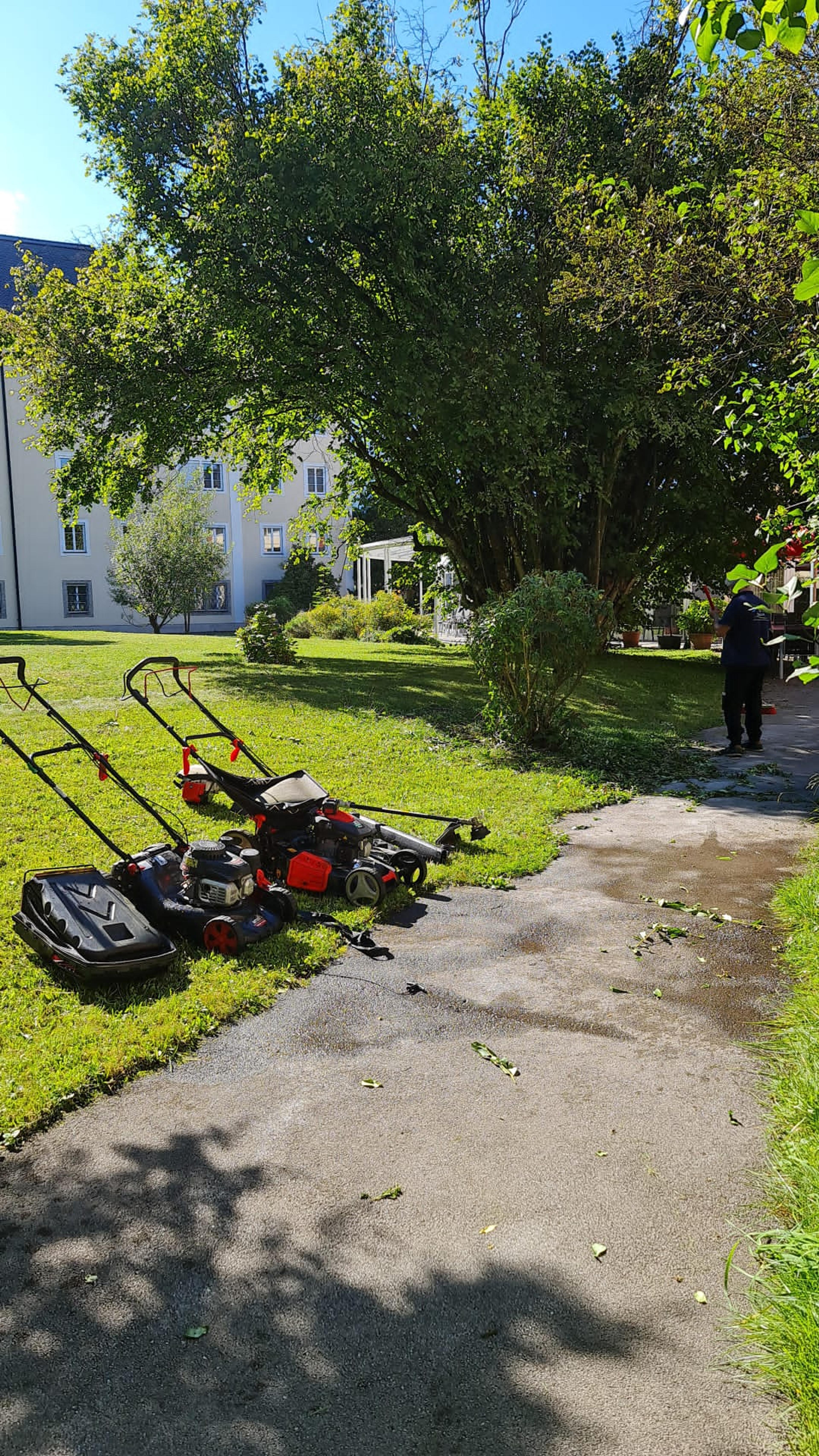 ac055cfd-6493-47bf-9944-218e97ce434c.jpeg