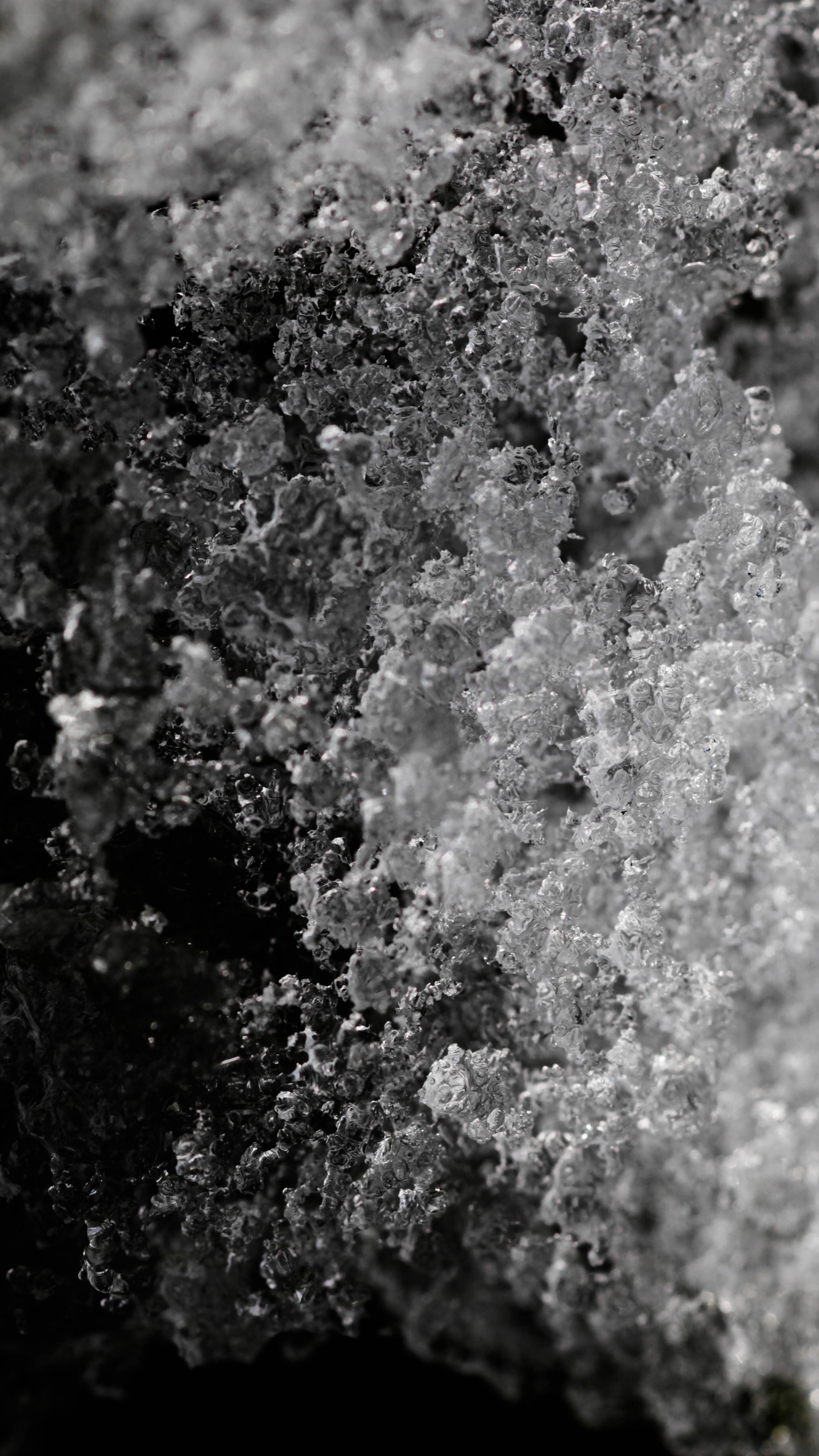 ac115c57-aea0-4604-bd48-d78176d208b7.jpeg