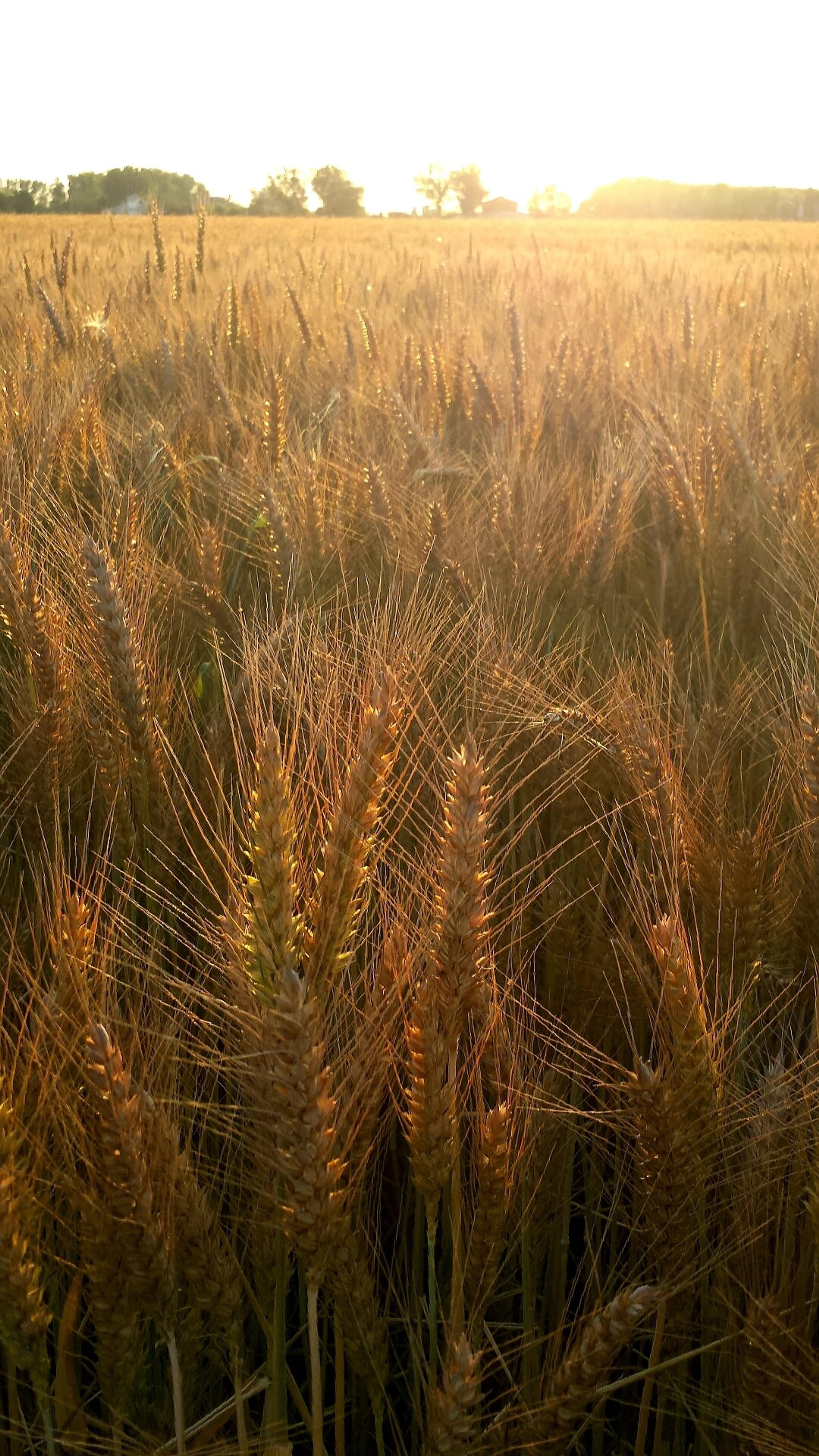 ac13e799-6808-455c-8d43-3d44b9021530.jpeg