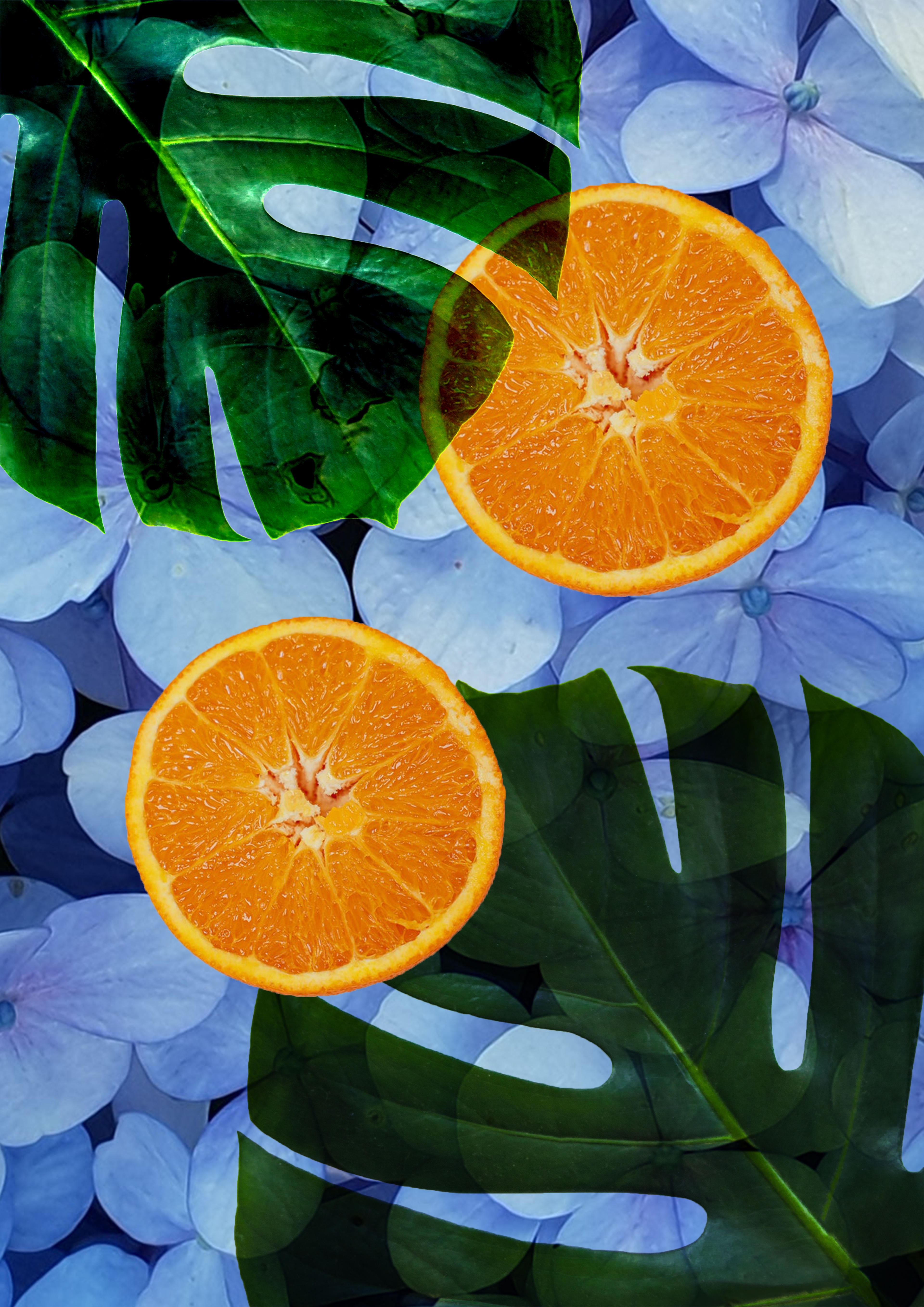 ac606cf4-9e0a-47b0-8f13-8d775d0452a7.jpeg