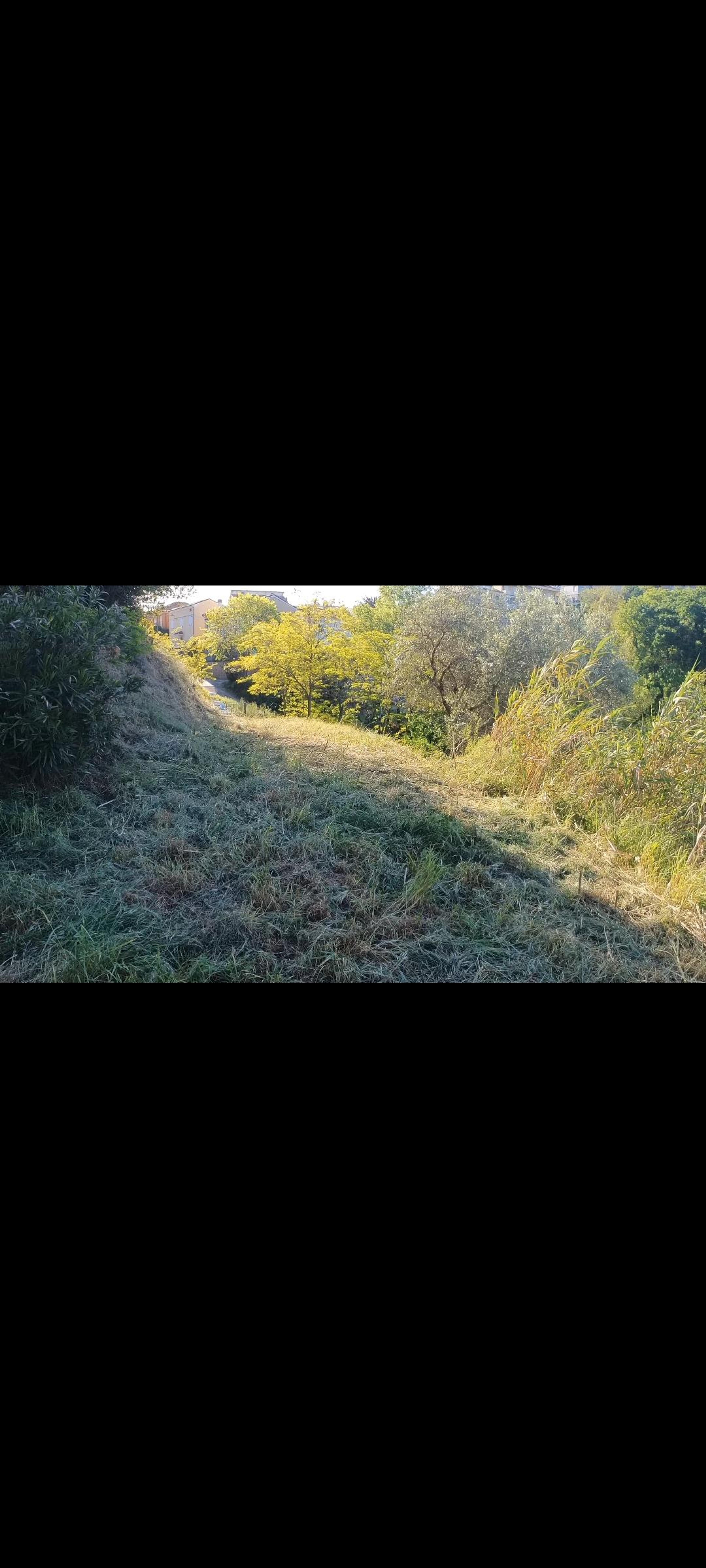 acc3836a-c95b-4bf4-aaa8-026abf55bd43.jpeg