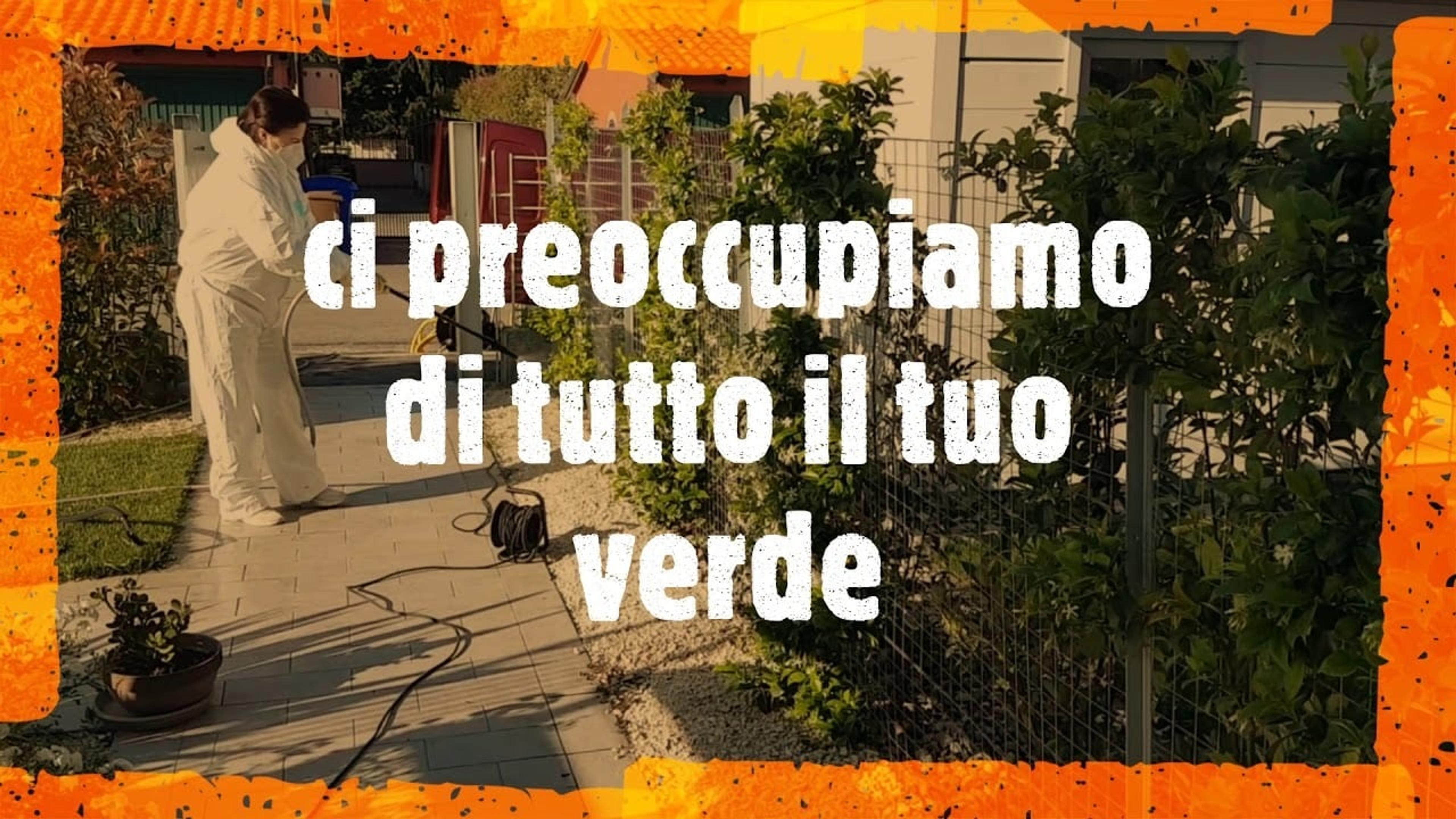 accc0804-a6a7-44c0-b427-731850b07f62.jpeg