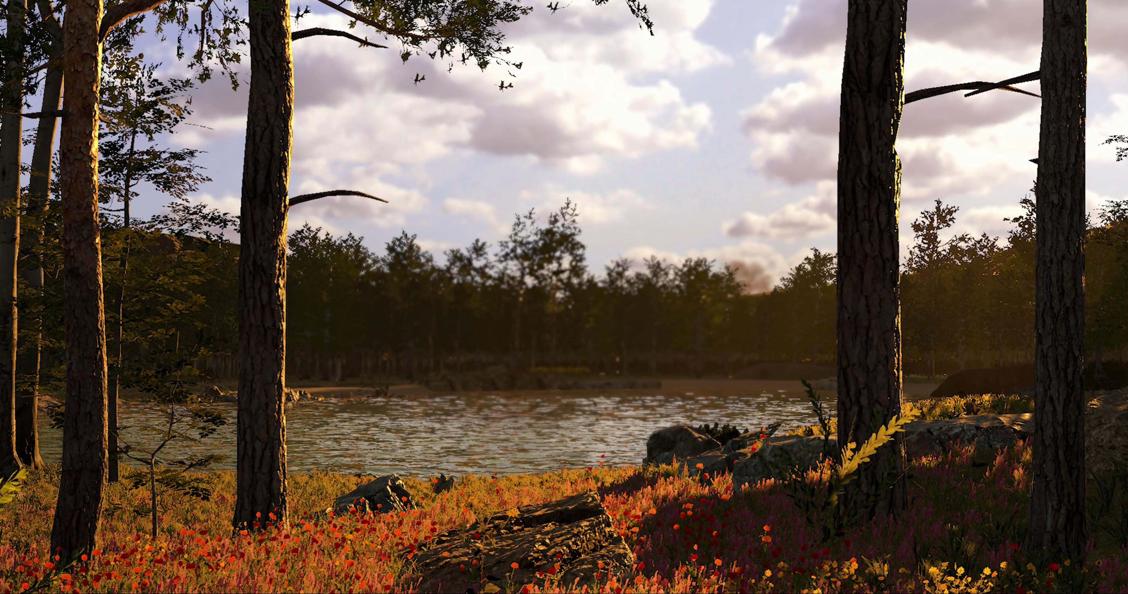 ad249f13-31ee-44c5-9be8-0714d1cea1f3.png