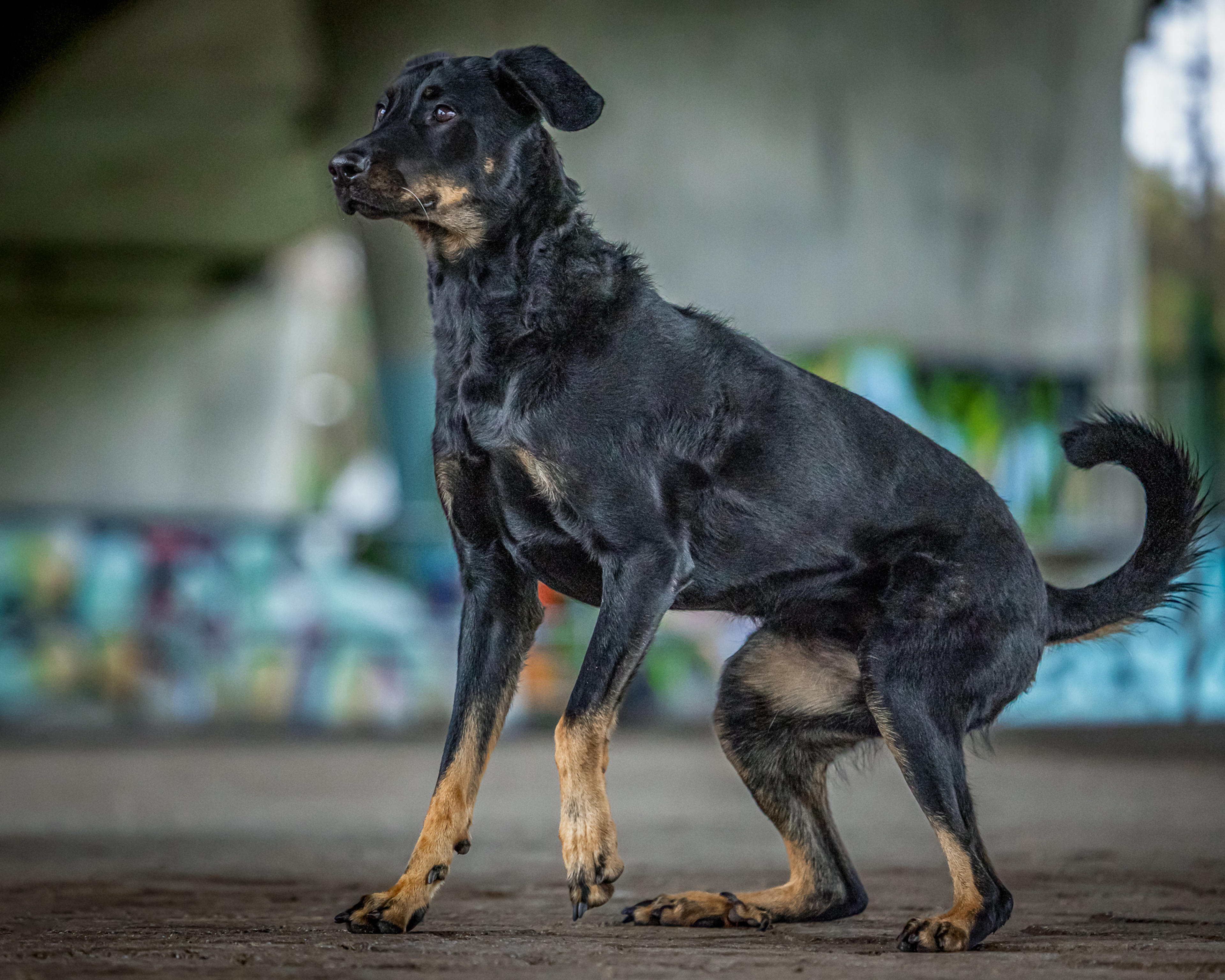ad305910-5875-4a71-882a-c34b40f0b979.jpeg