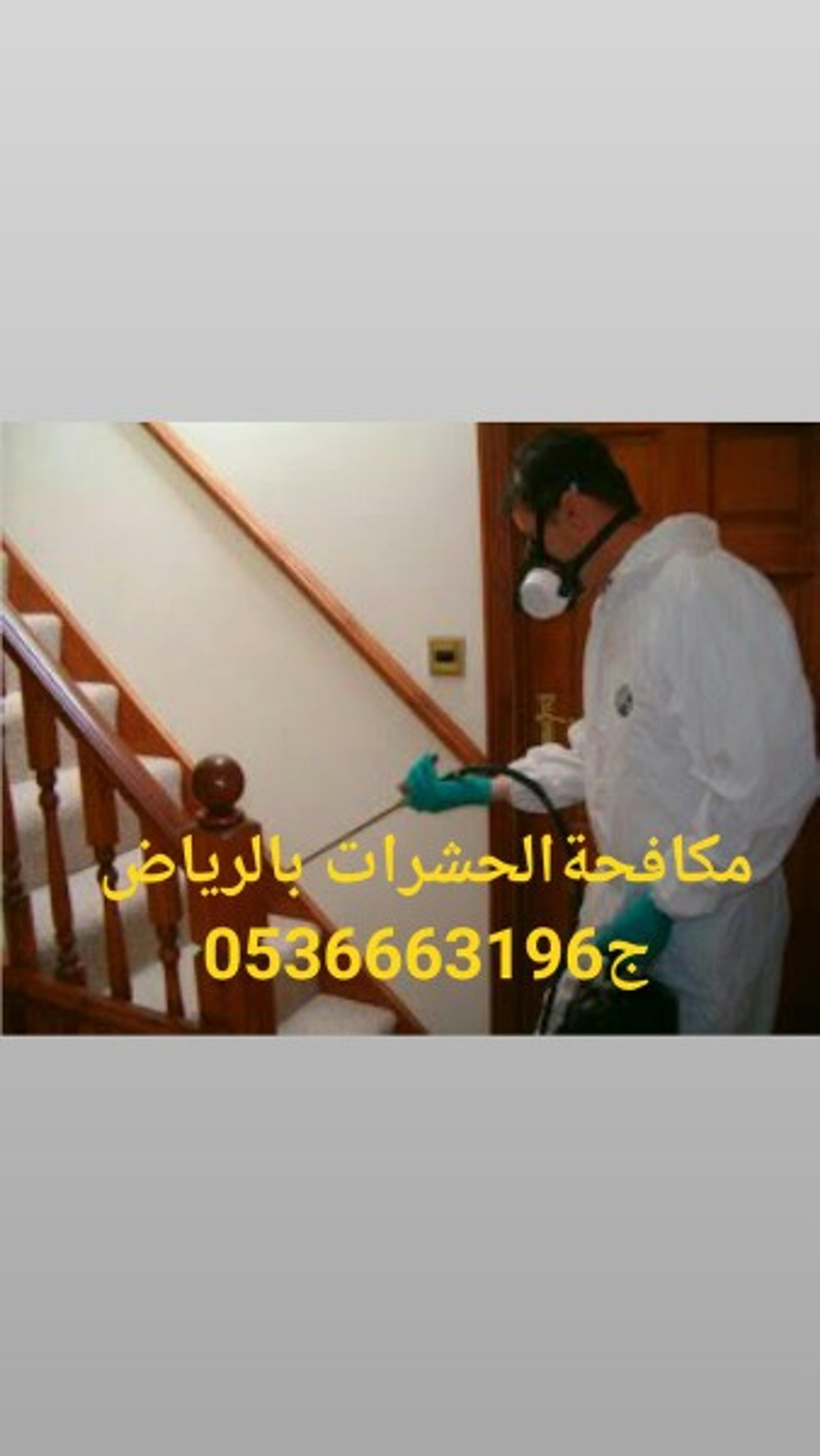 ad314f13-eb20-4075-bc90-2b578a003e95.jpeg