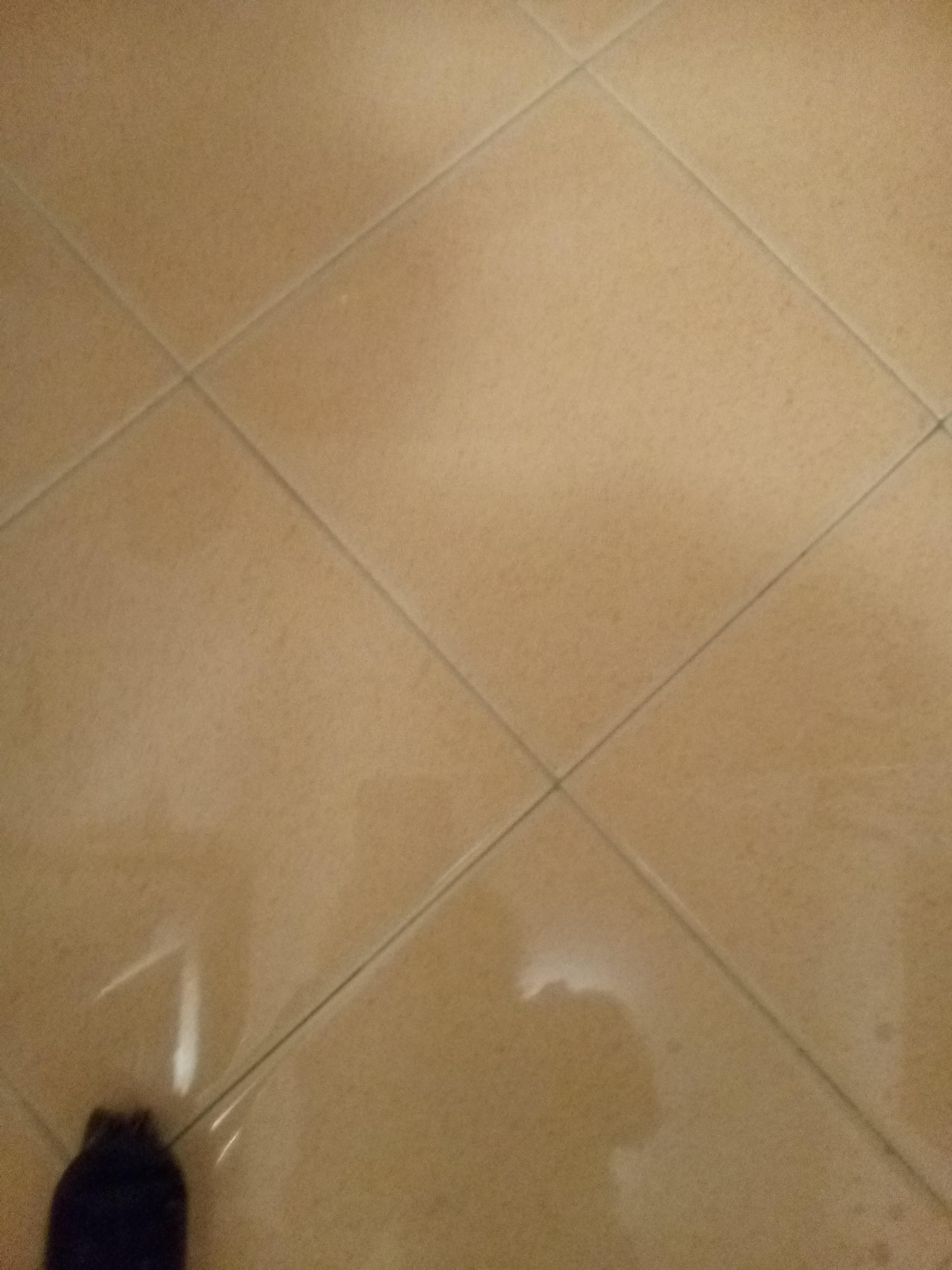 ad786578-2054-43b8-98fb-5652fc7e23c3.jpeg