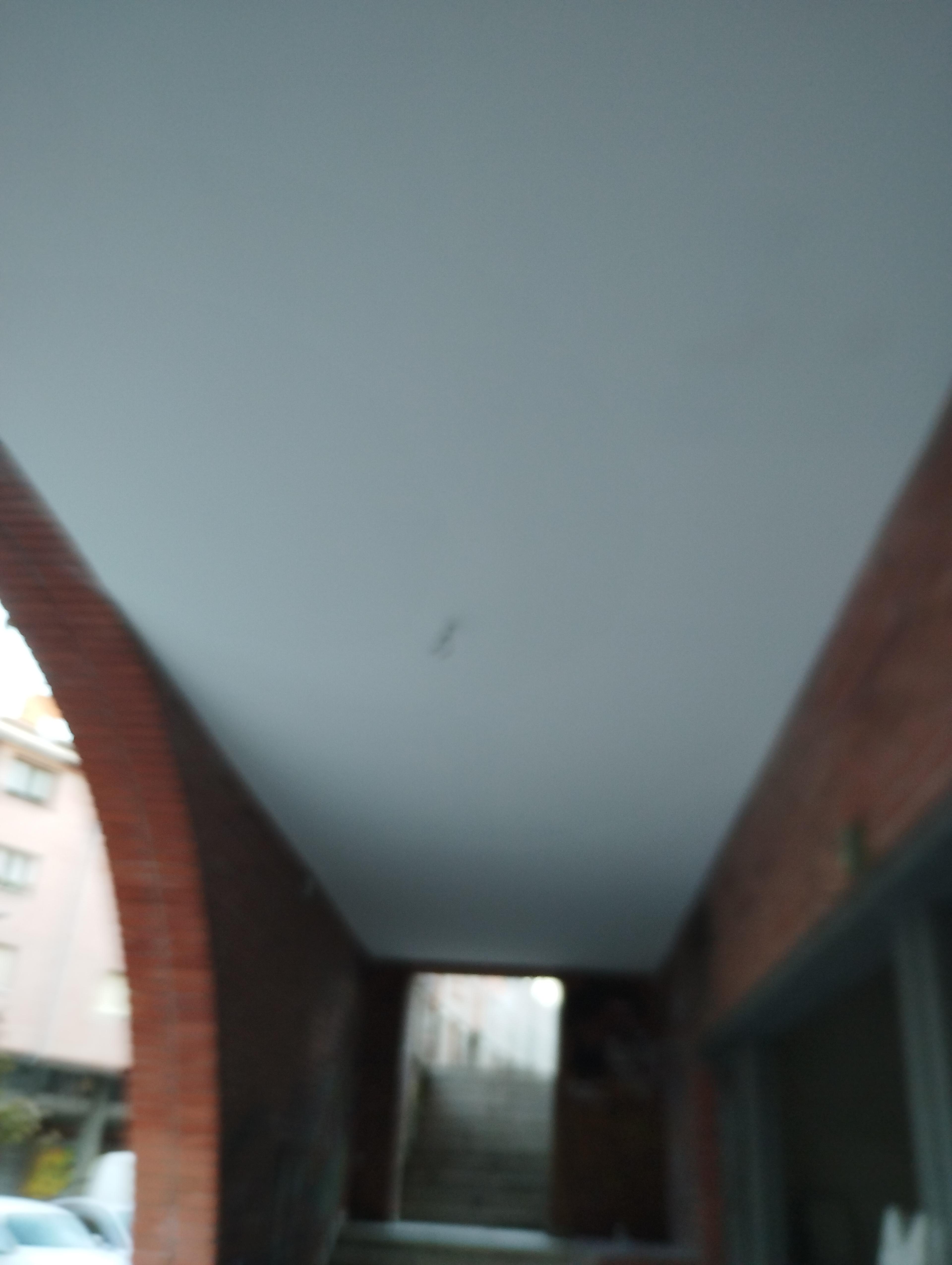 ae6d3696-1a5d-42a4-9c75-2f03cf86d1b9.jpeg