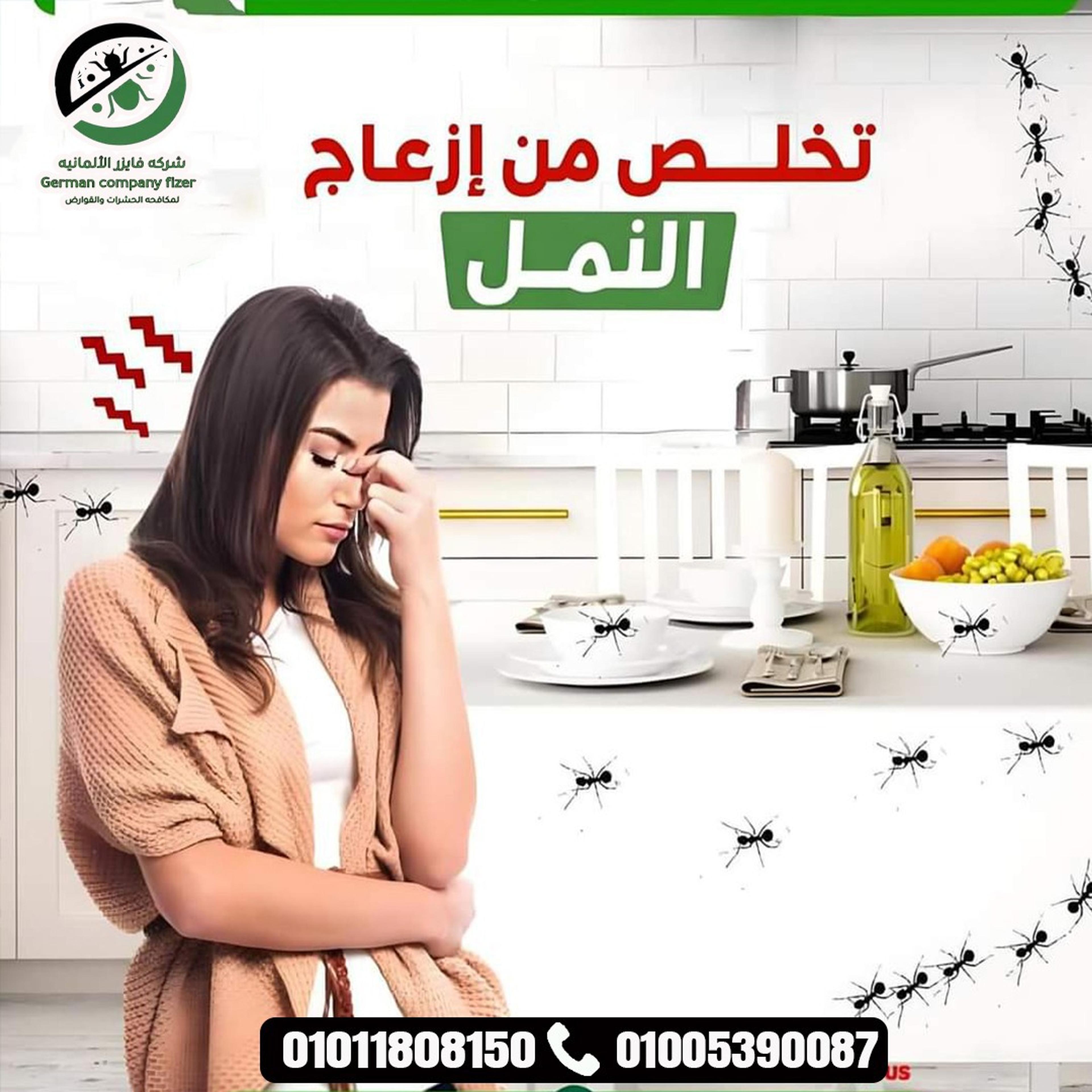 aea4b5ca-f881-4ff0-86f2-edf5a983d28e.jpeg