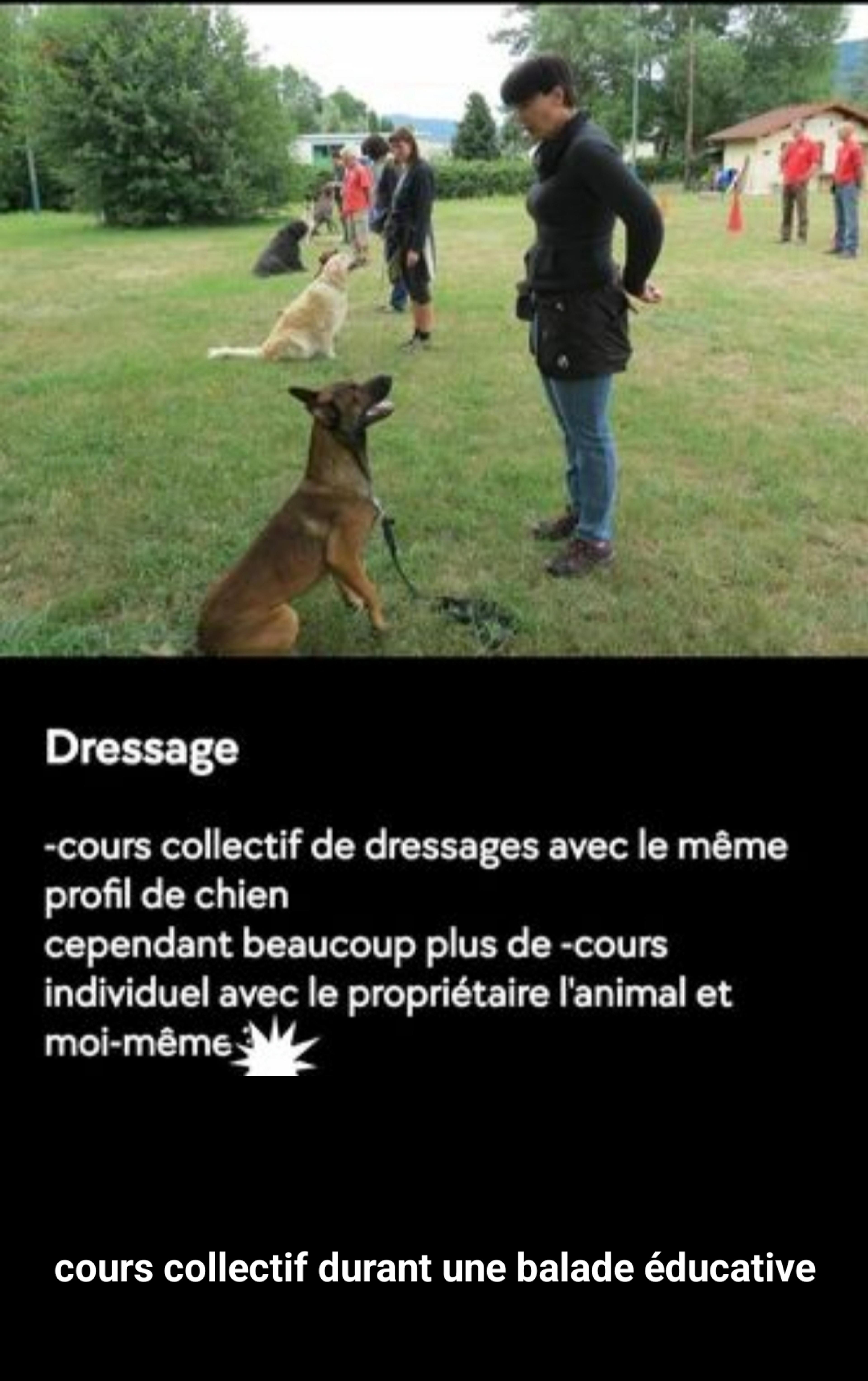 aeb2ab48-821b-4760-b149-35e22cf5f523.jpeg