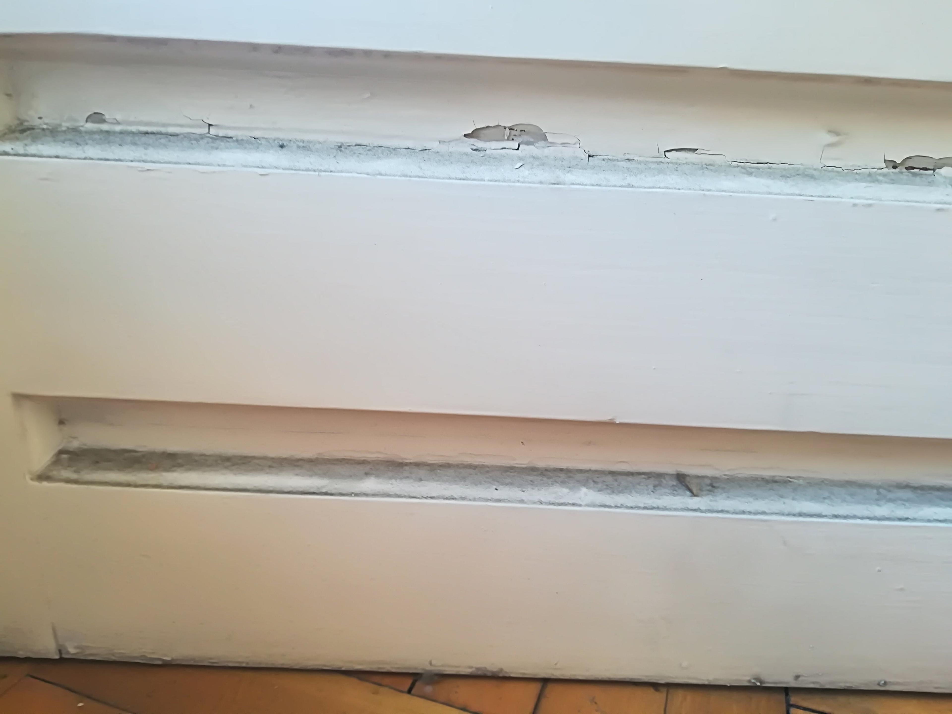 aed9b95d-6d19-42cc-ba6d-315df54b6dcc.jpeg