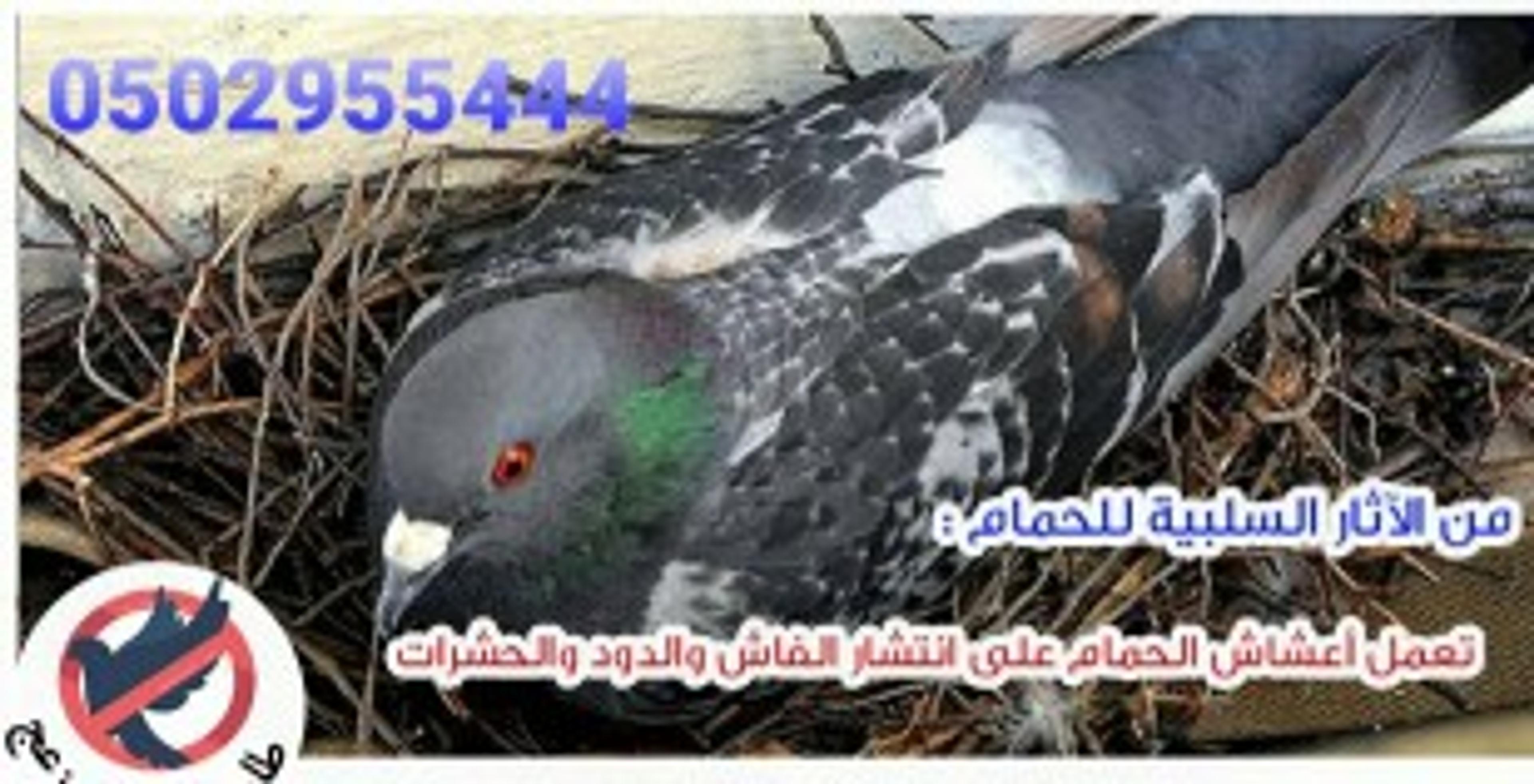 af0cdce8-7c7a-4ab4-8d85-de581cc9825c.jpeg