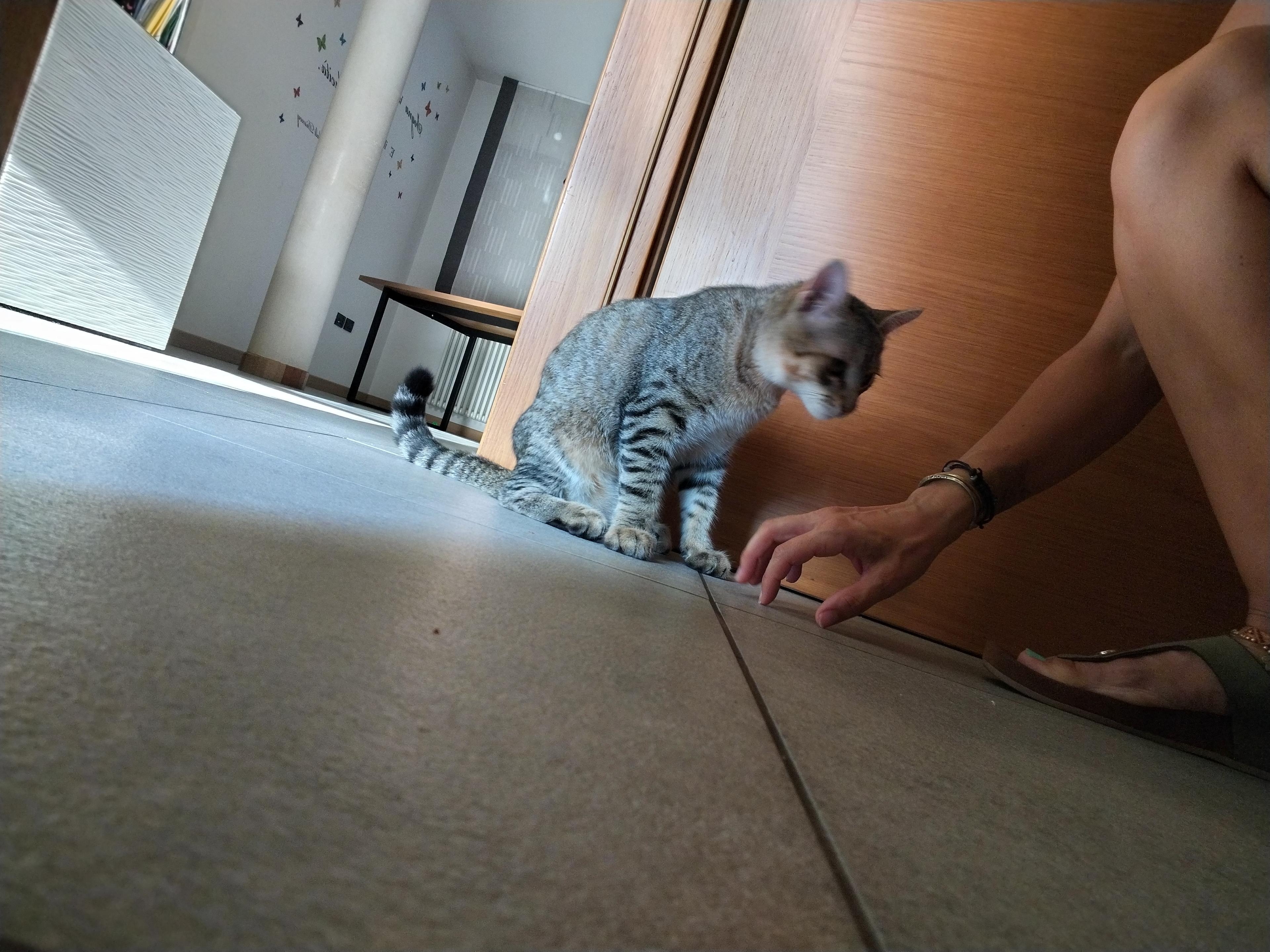 af33b285-10c6-491b-ab32-6dabad00d376.jpeg