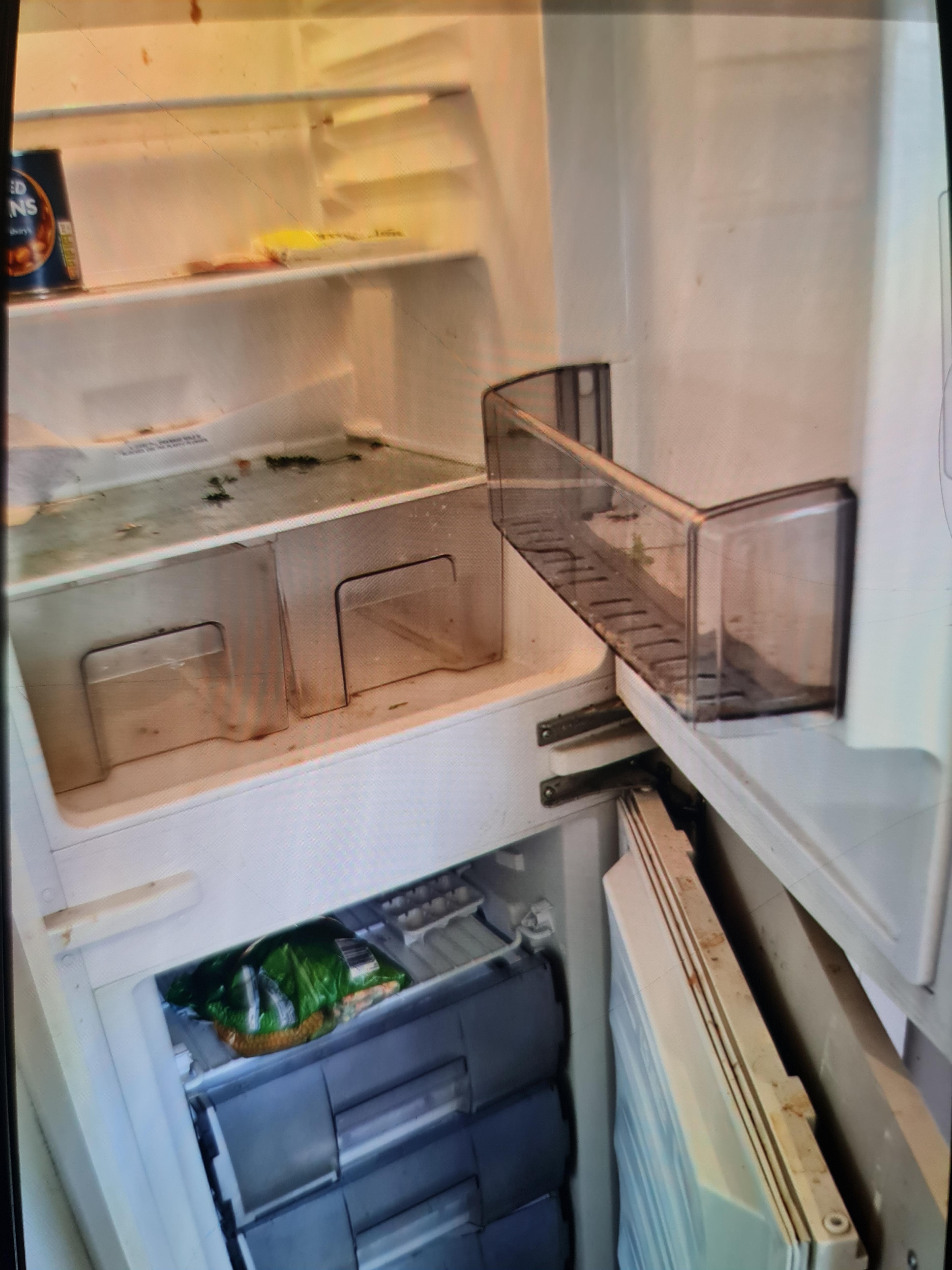 afd6b6a4-af0f-40a1-85f1-e75177bf78c3.jpeg