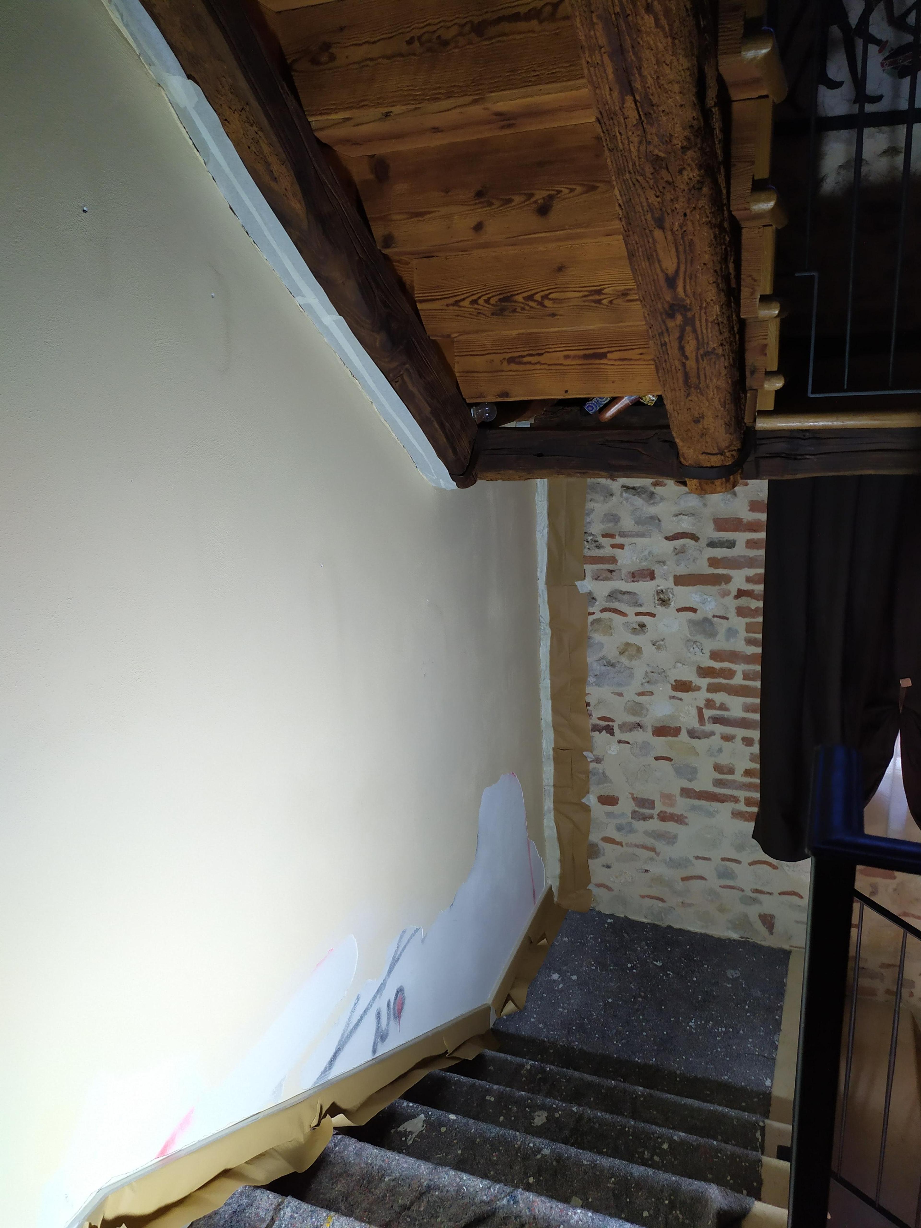 afdb9011-db66-4b1f-a3fd-f31a7891693b.jpeg
