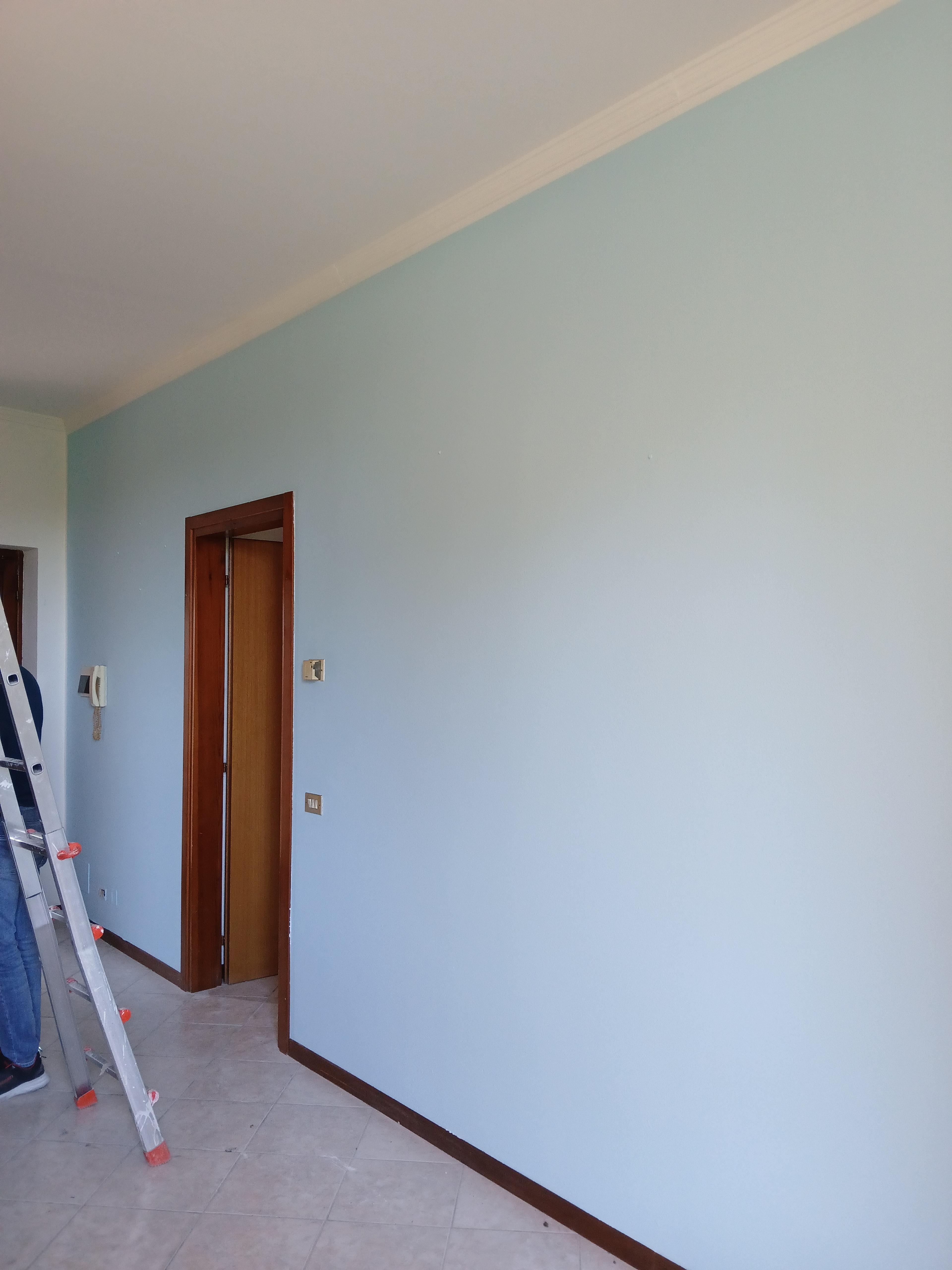 b0303b98-99b6-4869-8337-dcce212cbc7d.jpeg