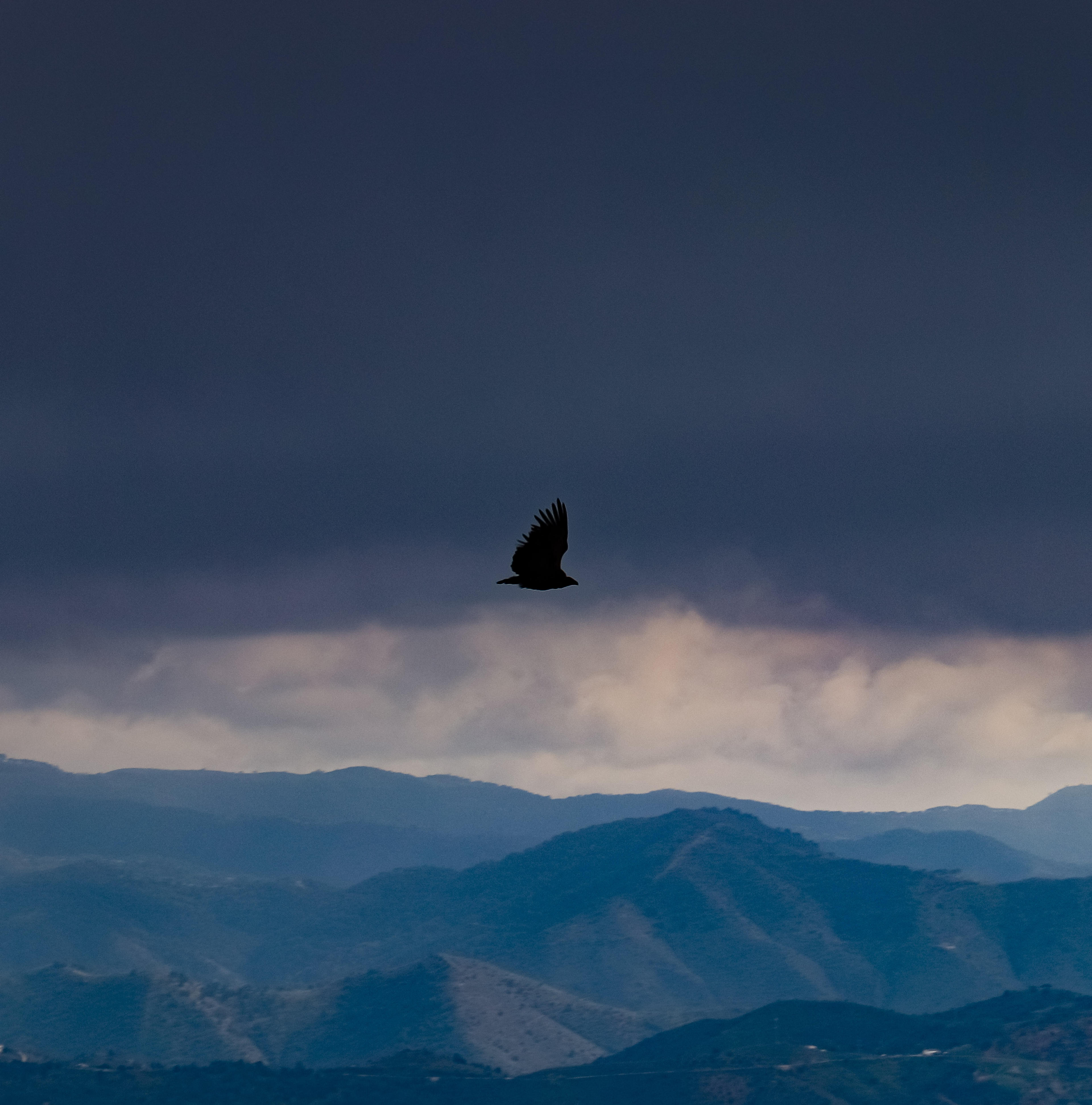 b03418bf-8655-469f-b937-cd67794b9c5f.jpeg