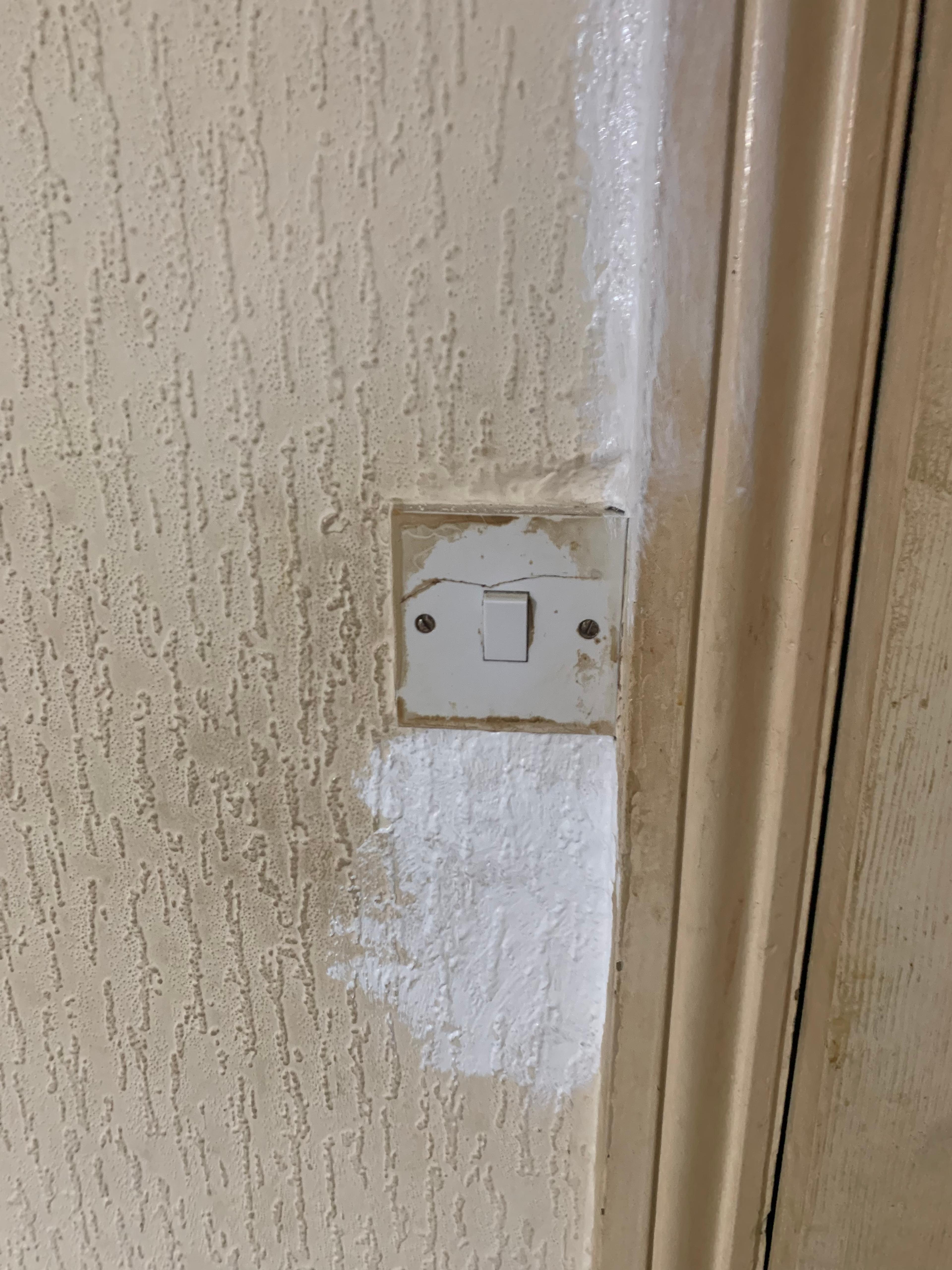 b0782c2d-d13c-4544-8301-931a4c6b4a49.jpeg