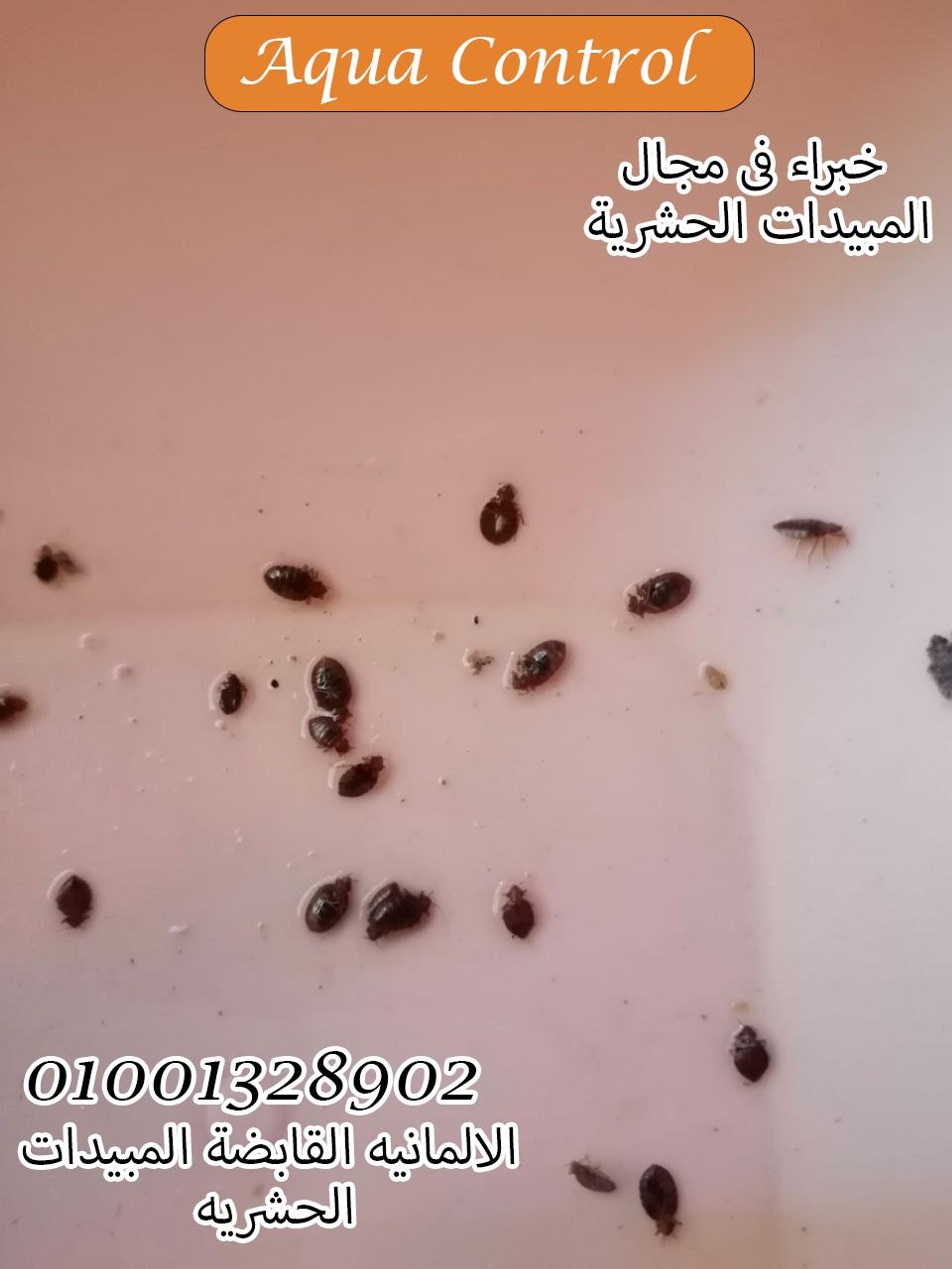 b09ba63d-02ea-4ed1-bede-8de0df158786.jpeg