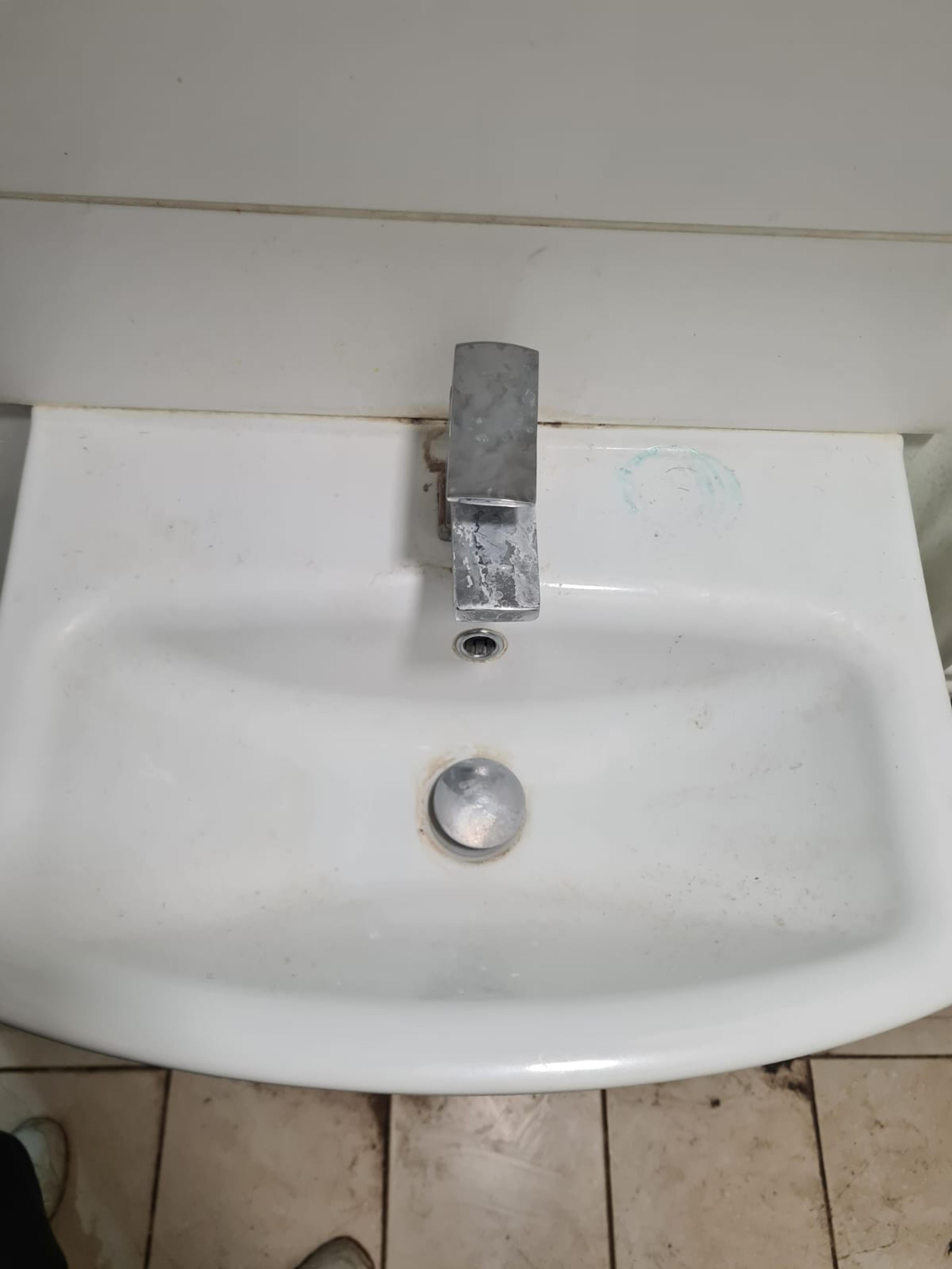 b0a403d9-8aa6-451d-b2b3-a1f8f55ab3ae.jpeg