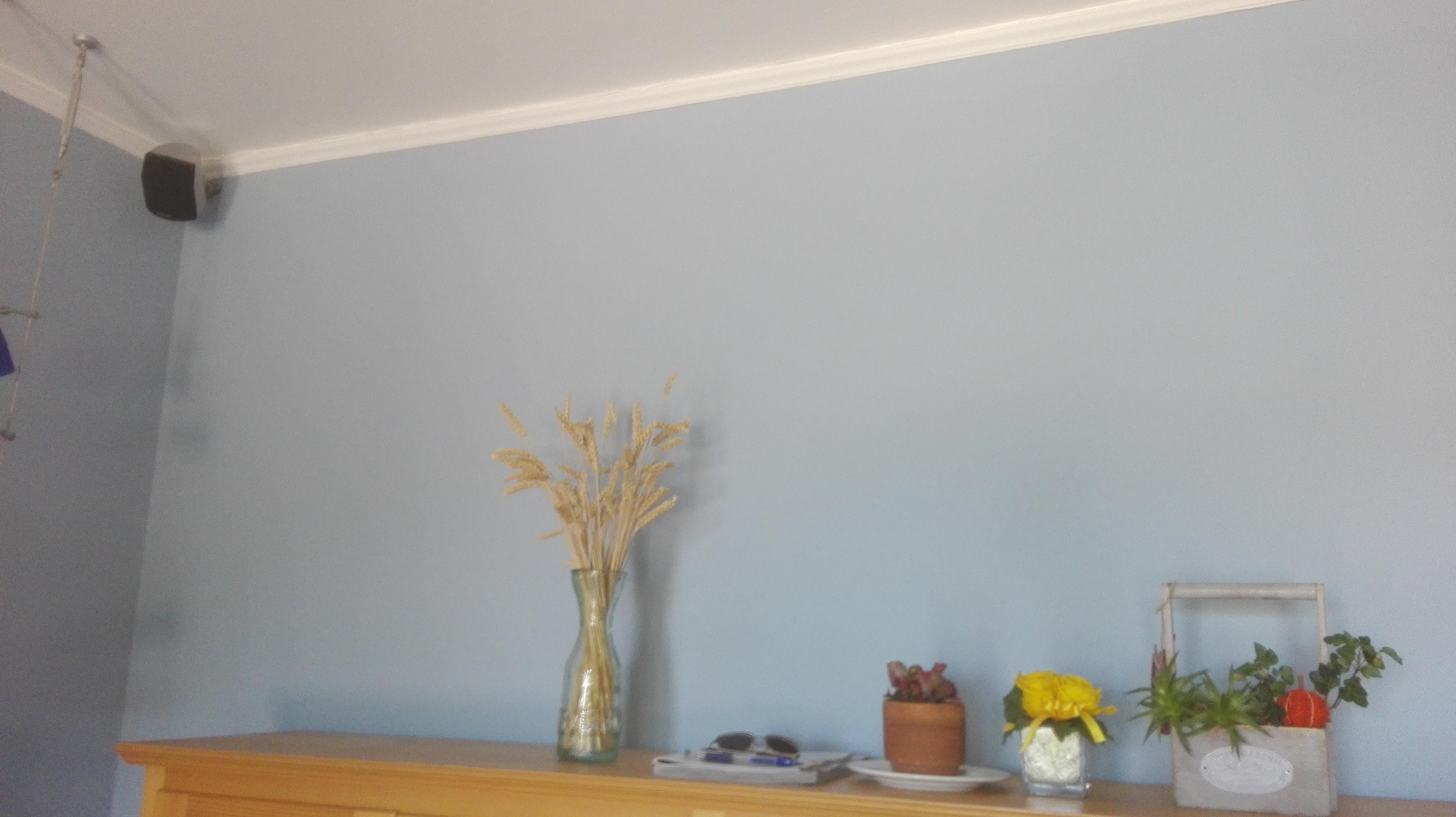 b1313364-abc6-445c-9867-a322956ebacd.jpeg