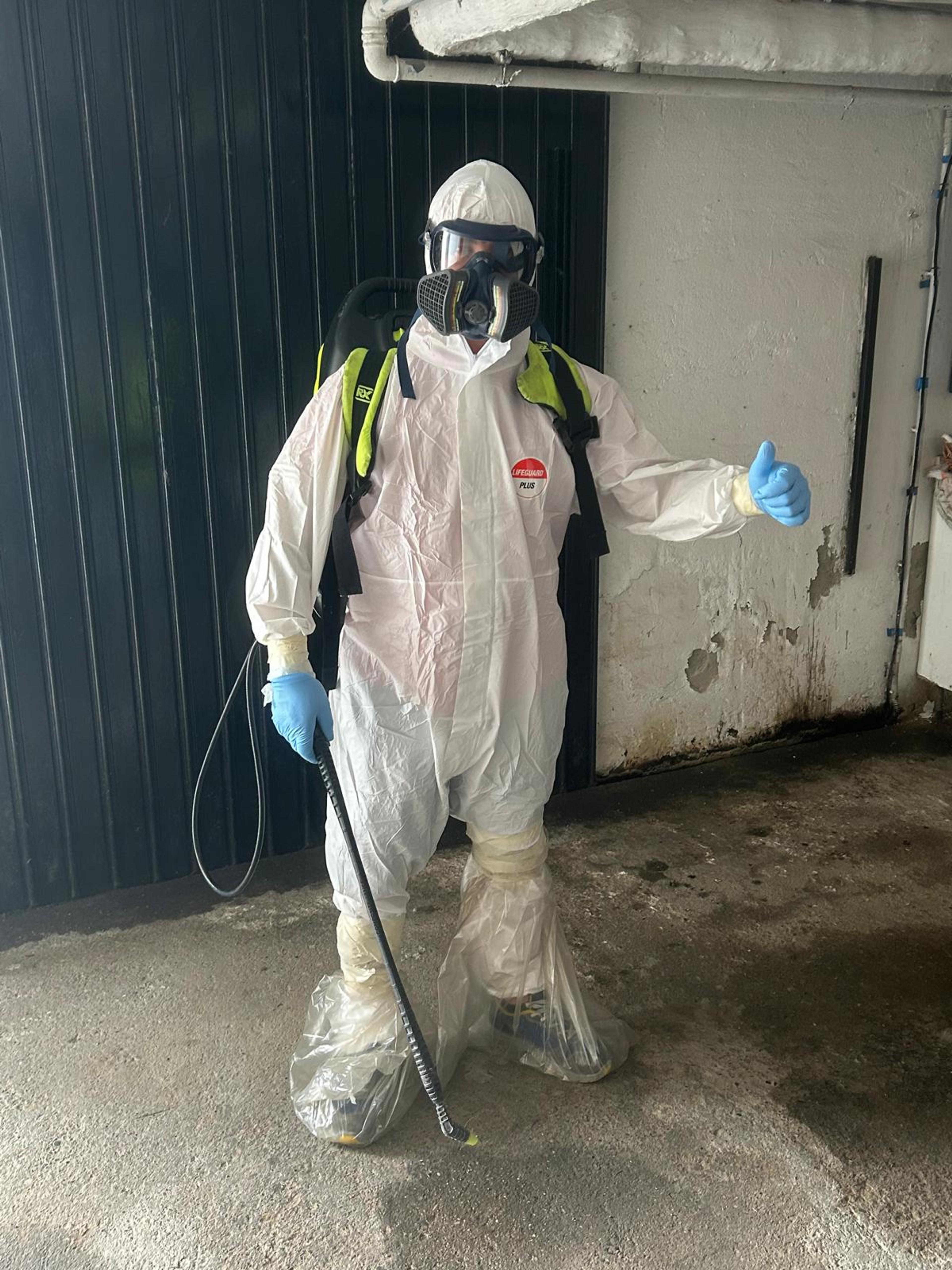 b1d22148-c67a-4415-b72c-f3a065745bd9.jpeg