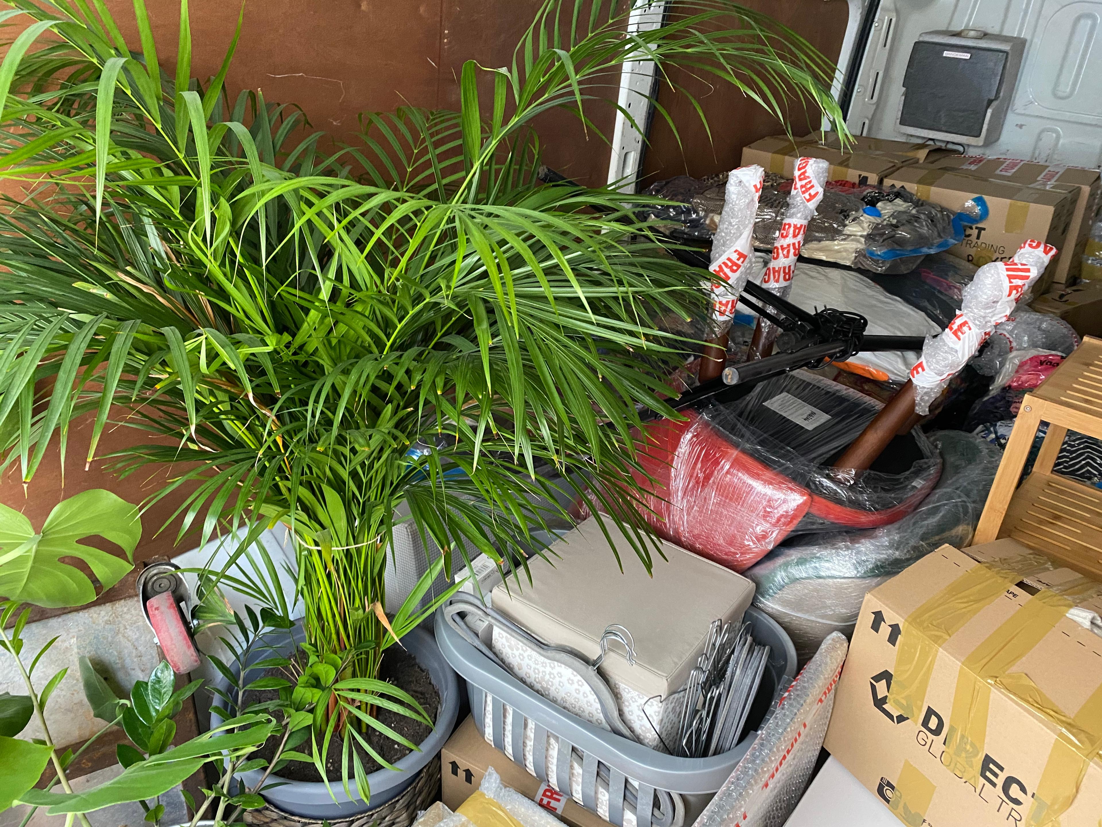 b1fd4e02-48c0-4c91-a170-1b984c6574fe.jpeg