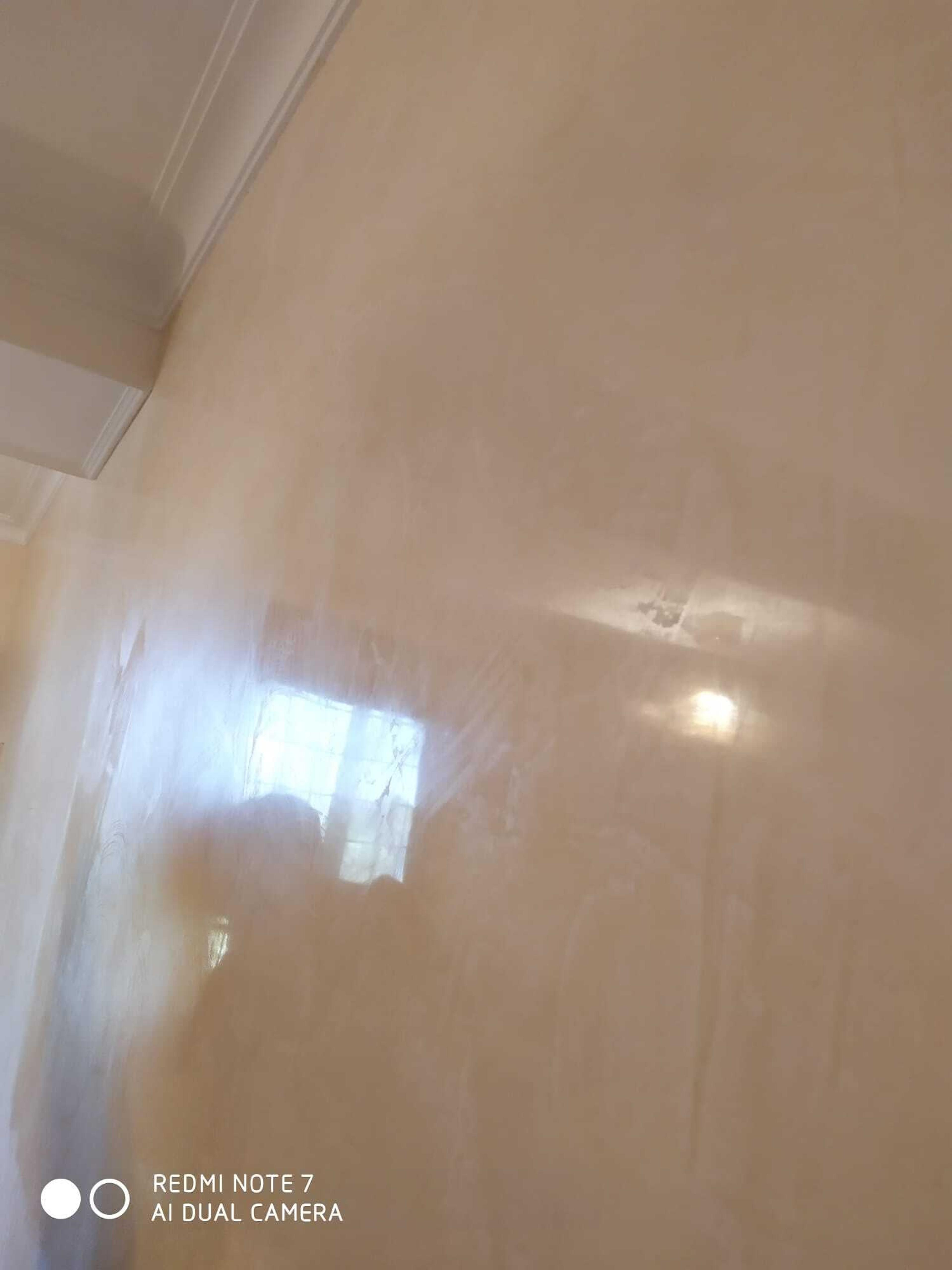 b2152e3e-78e8-47c0-a5a5-ba032e6986bb.jpeg