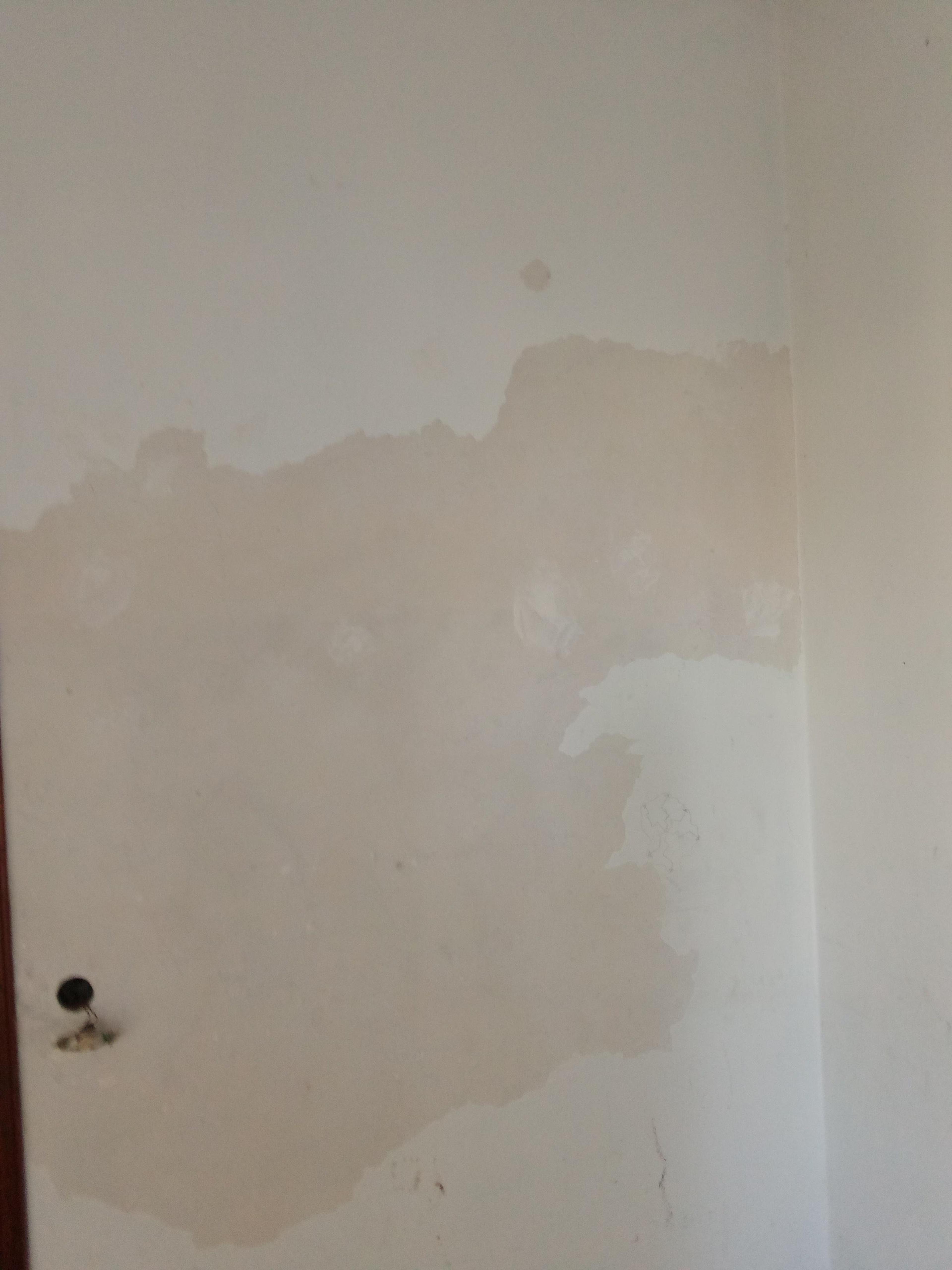 b21b6d32-d56e-4ce2-ba9d-b2e566e58813.jpeg